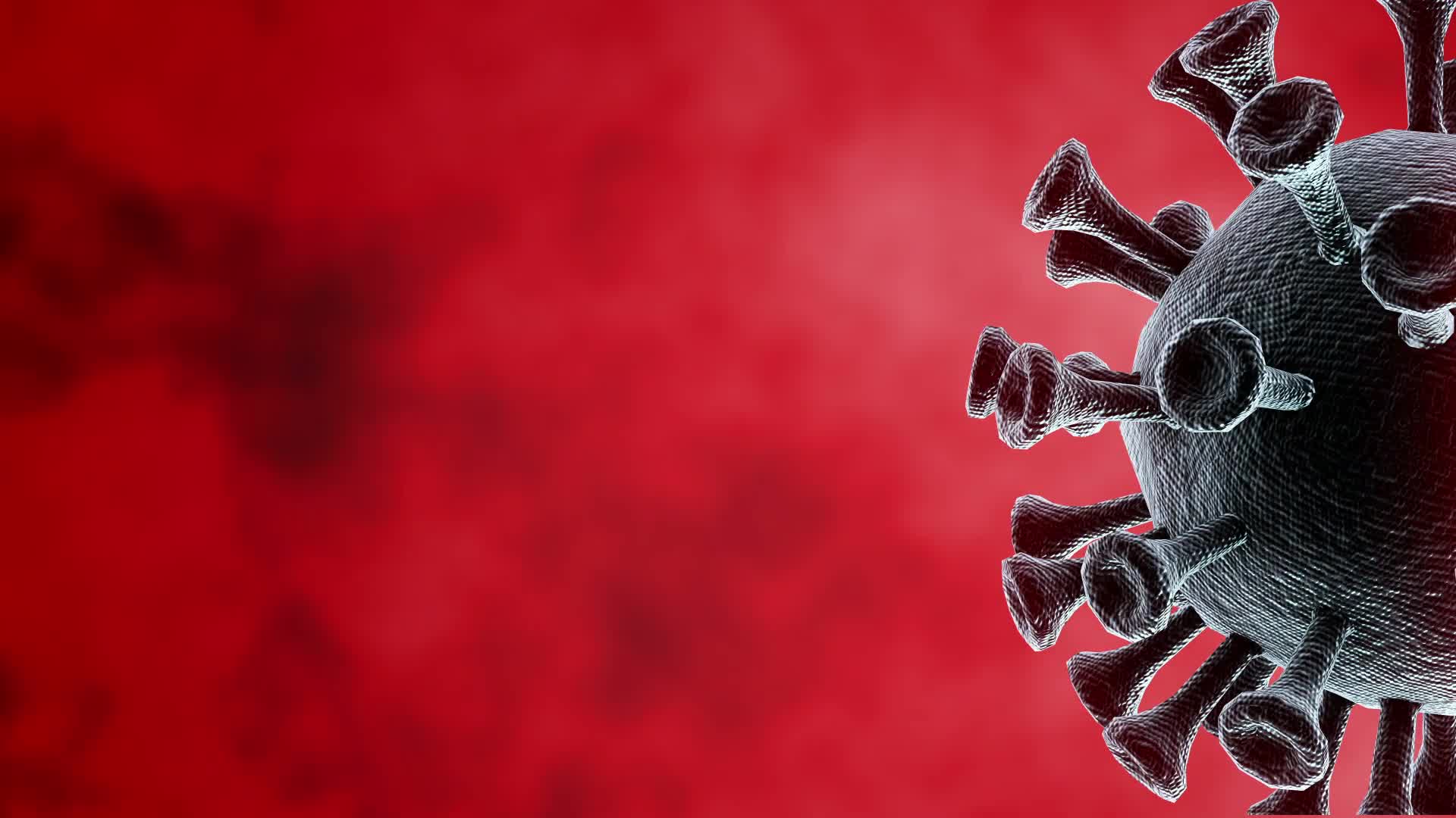 141 COVID19 Corona Virus Loop Animated Background Royalty Free Footage Free motion background Loops