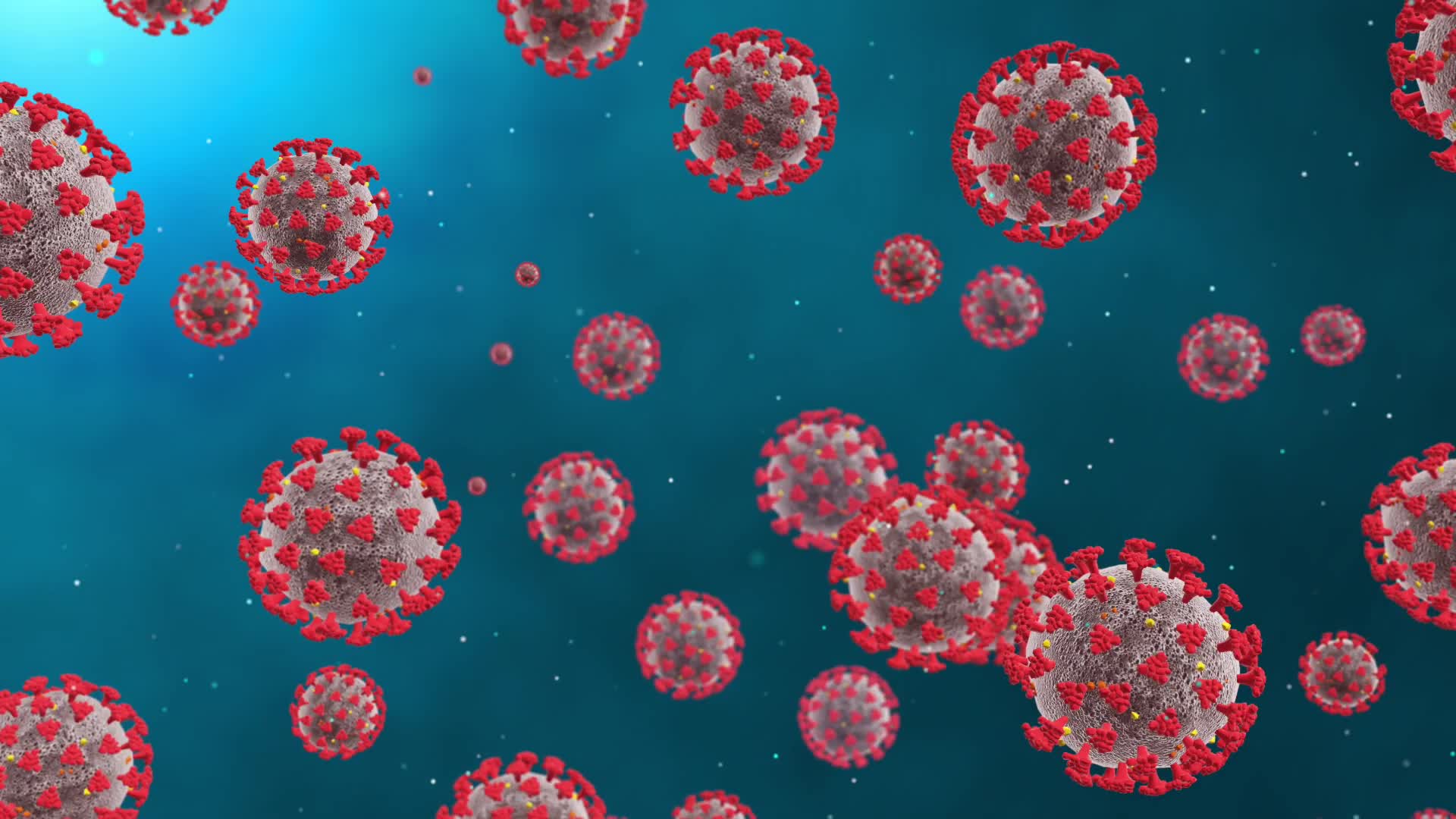 COVID19 Corona Virus Loop Animated Background Royalty Free Footage Free motion background Loops
