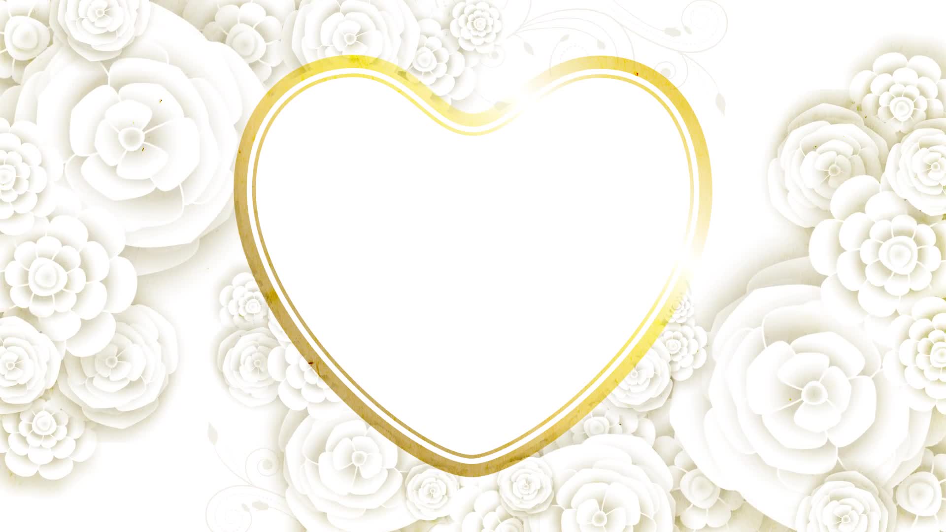 FREE ROMANTIC ROSE BACKGROUND WHITE VIDEO BACKGROUND LOVE VIDEO MOTION BACKGROUND