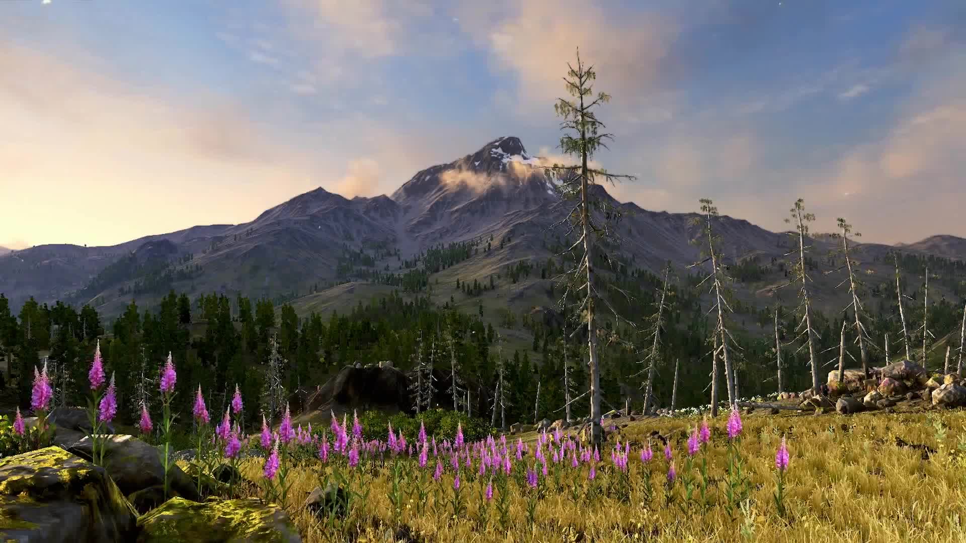 Rocky Mountain High 1080p