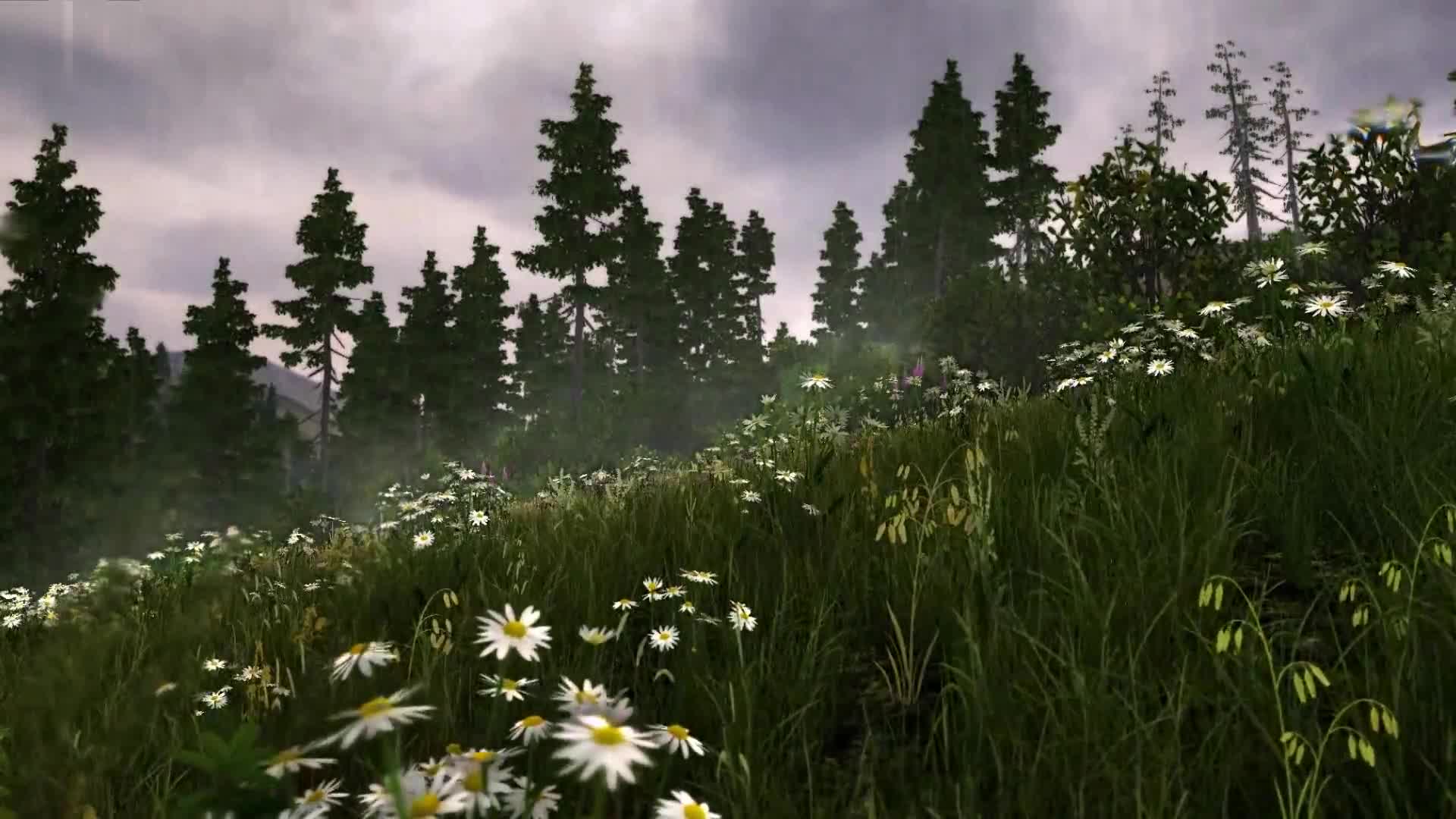 Rain in the Valley 1080p