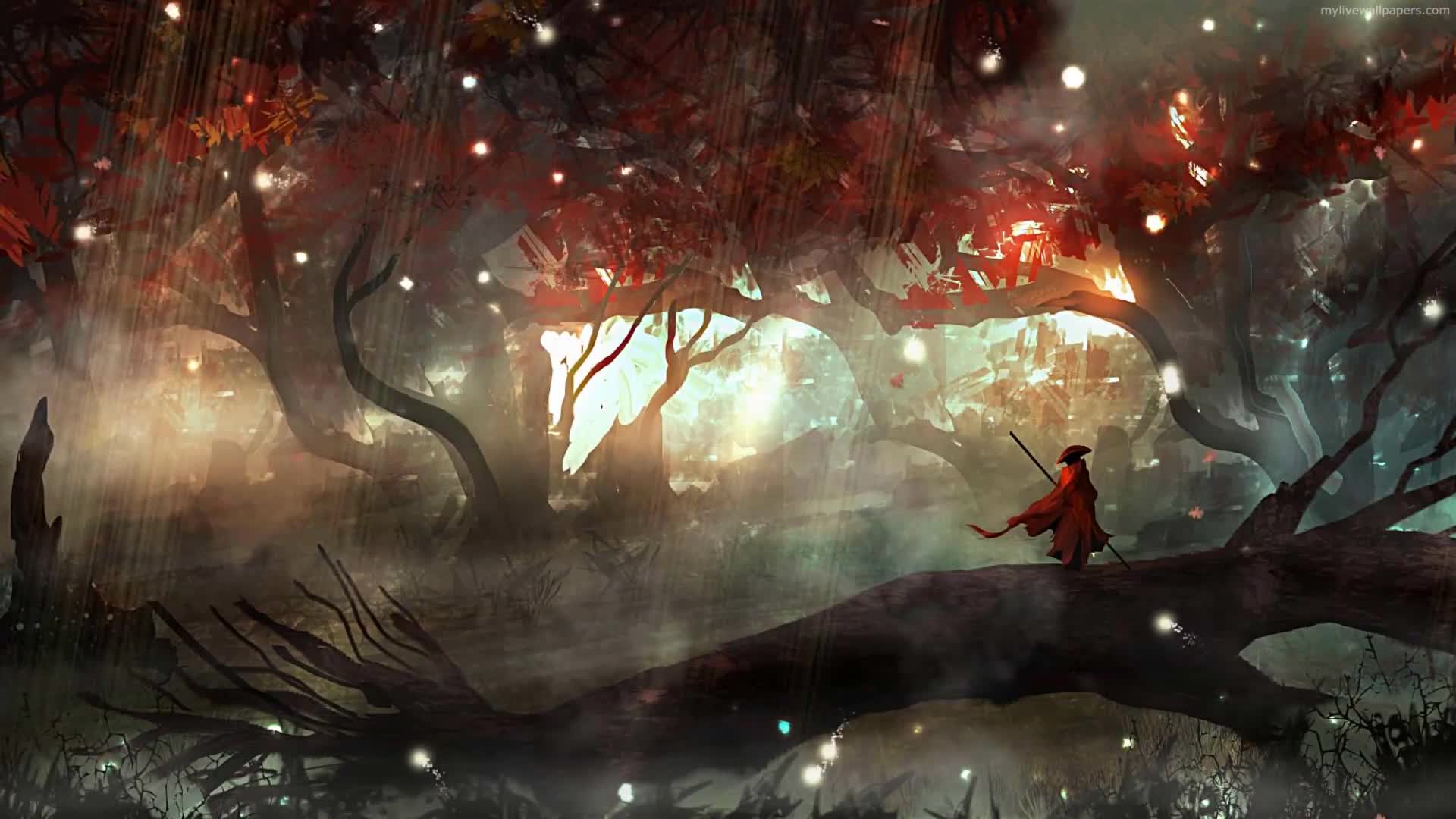 PC Fireflies Forest Live Wallpaper