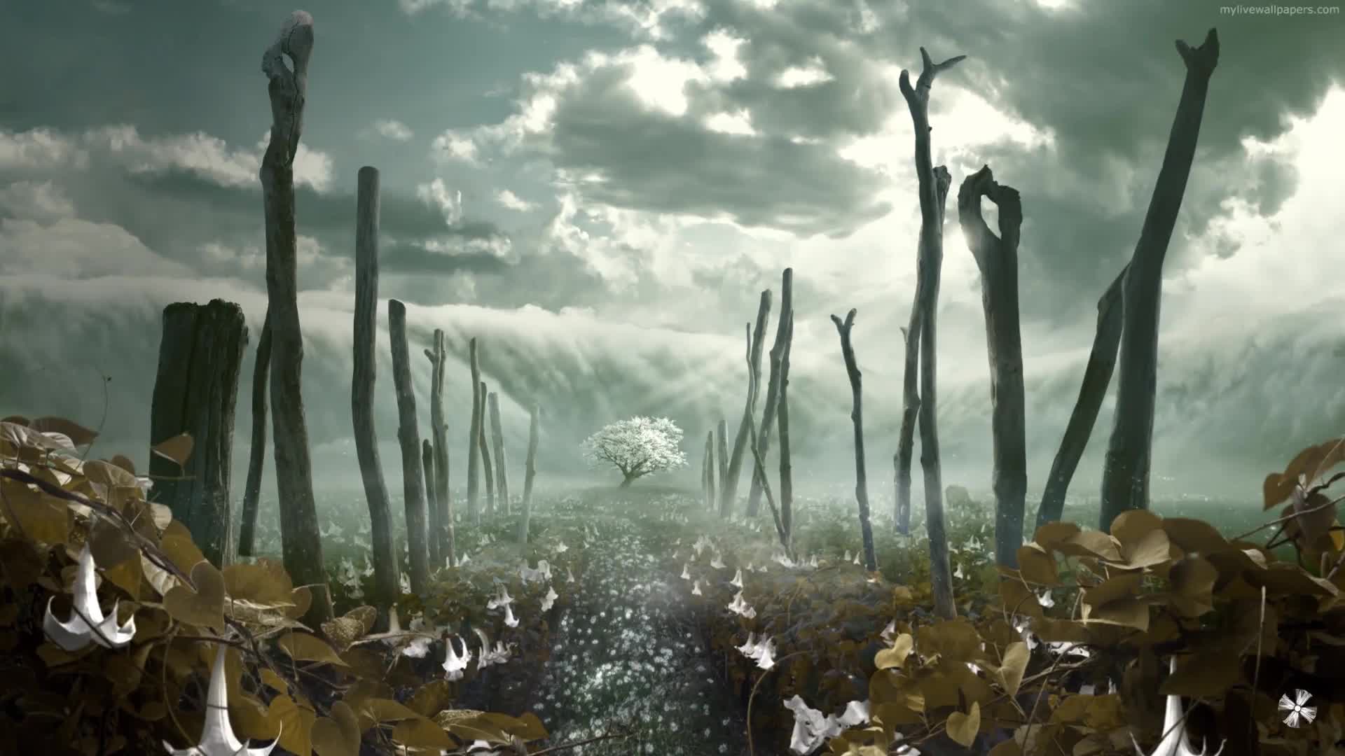 PC Bliss Tree Live Wallpaper