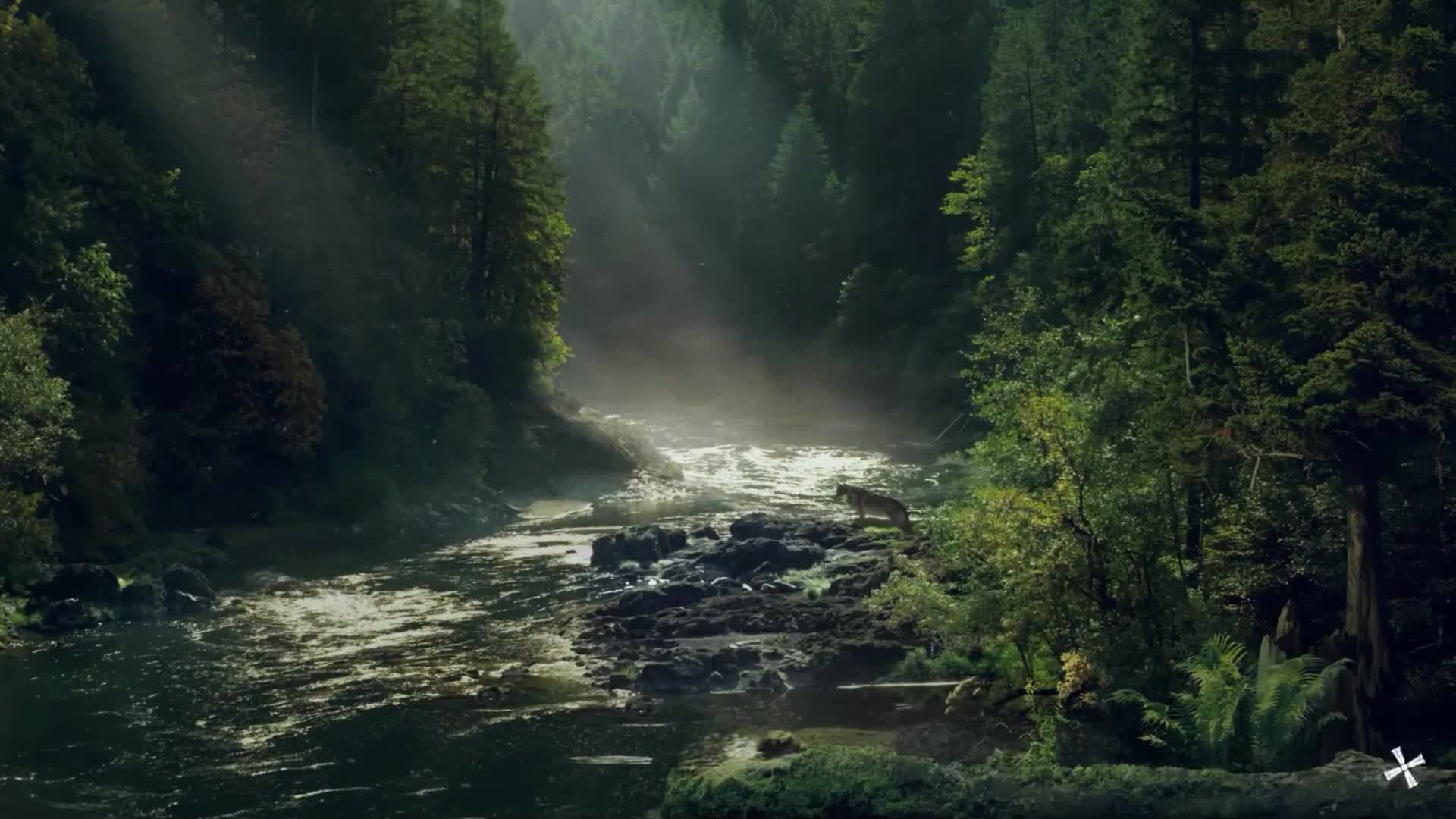 PC Peaceful Stream Live Wallpaper