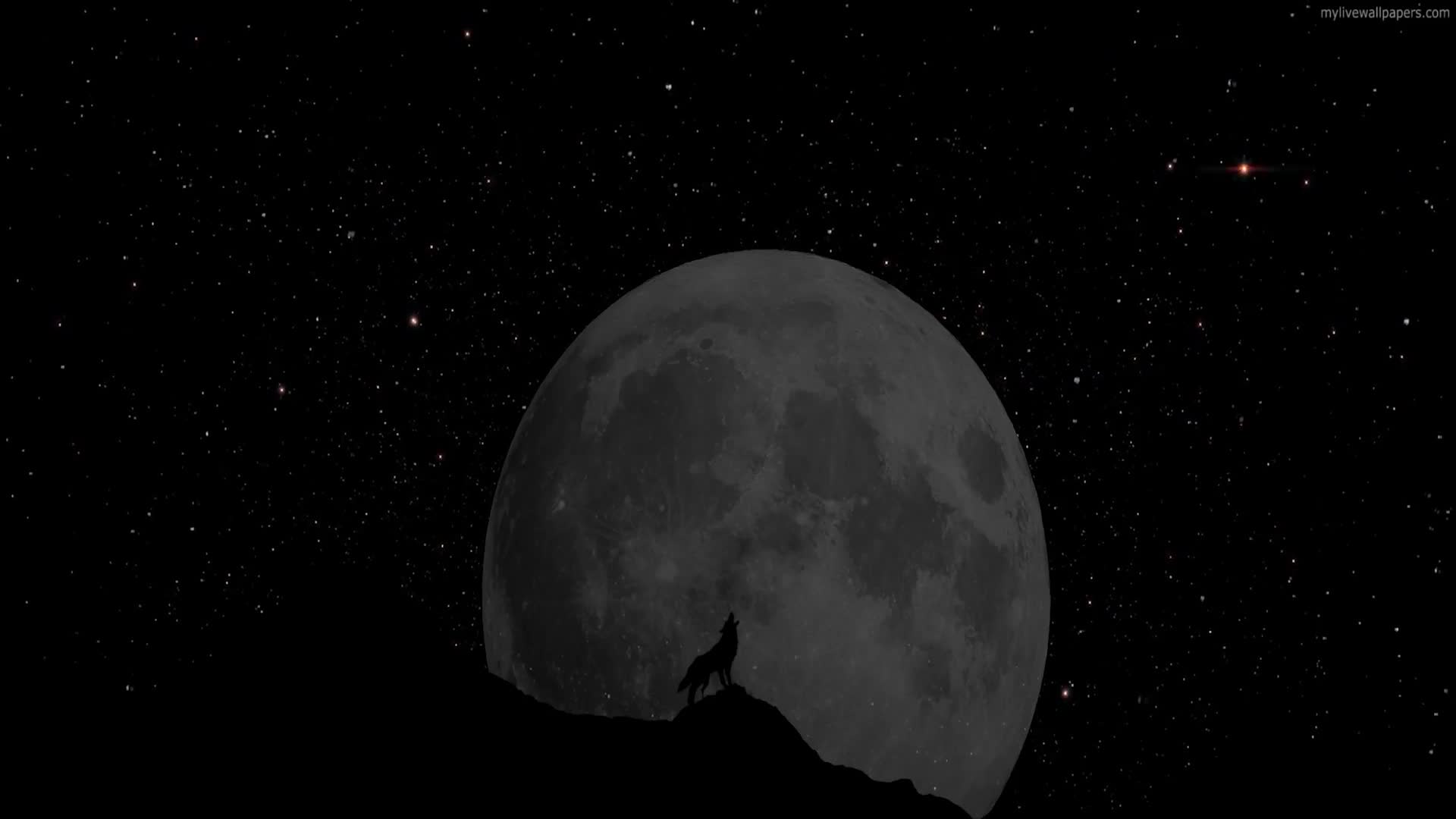 PC Wolf Stars Live Wallpaper