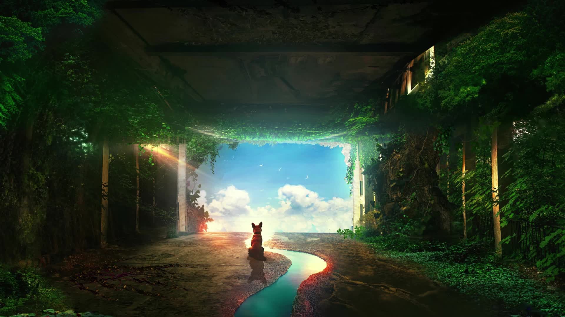 PC Lonely Dog Live Wallpaper