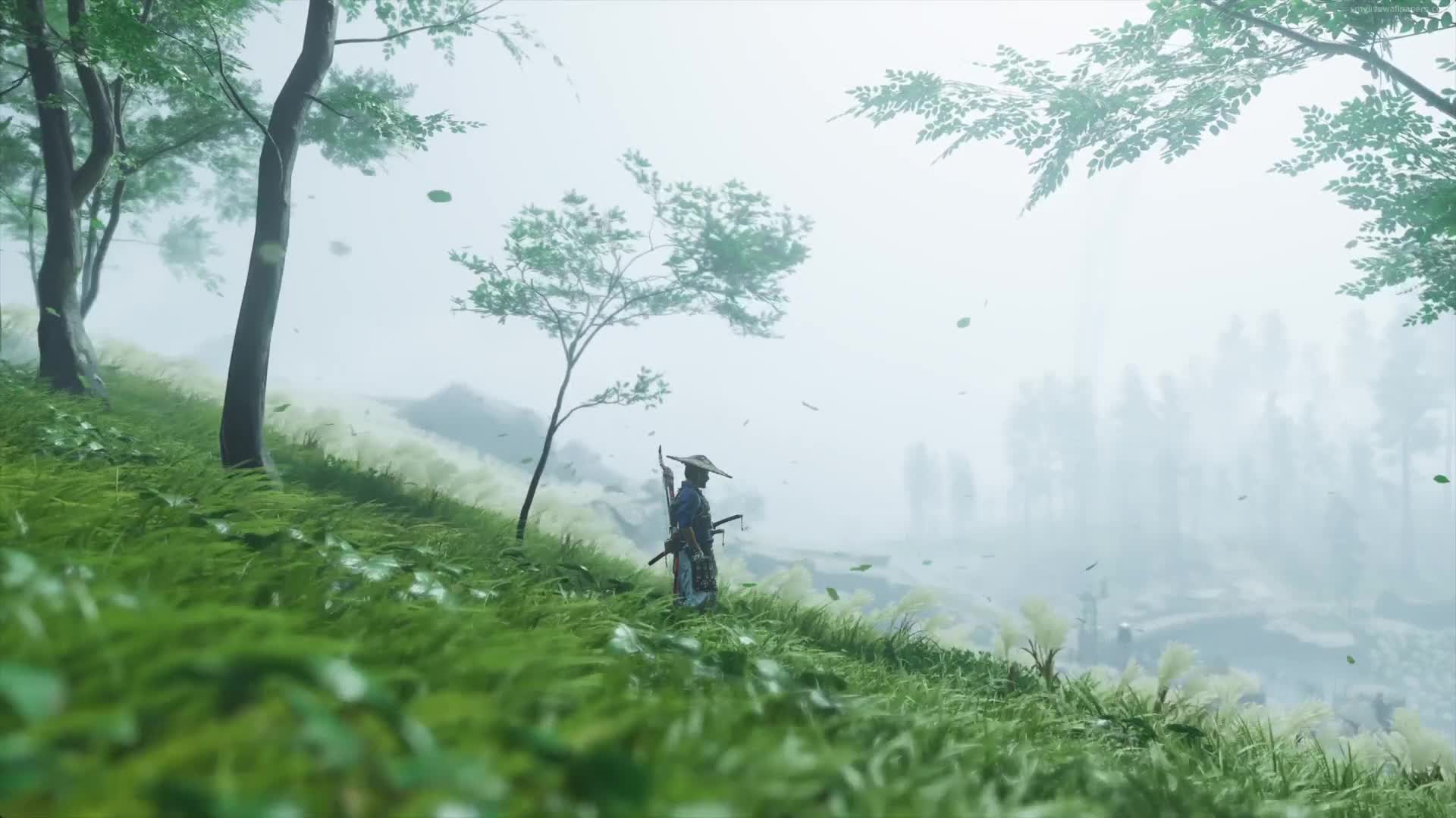 PC Windy Field Ghost of Tsushima Live Wallpaper Free