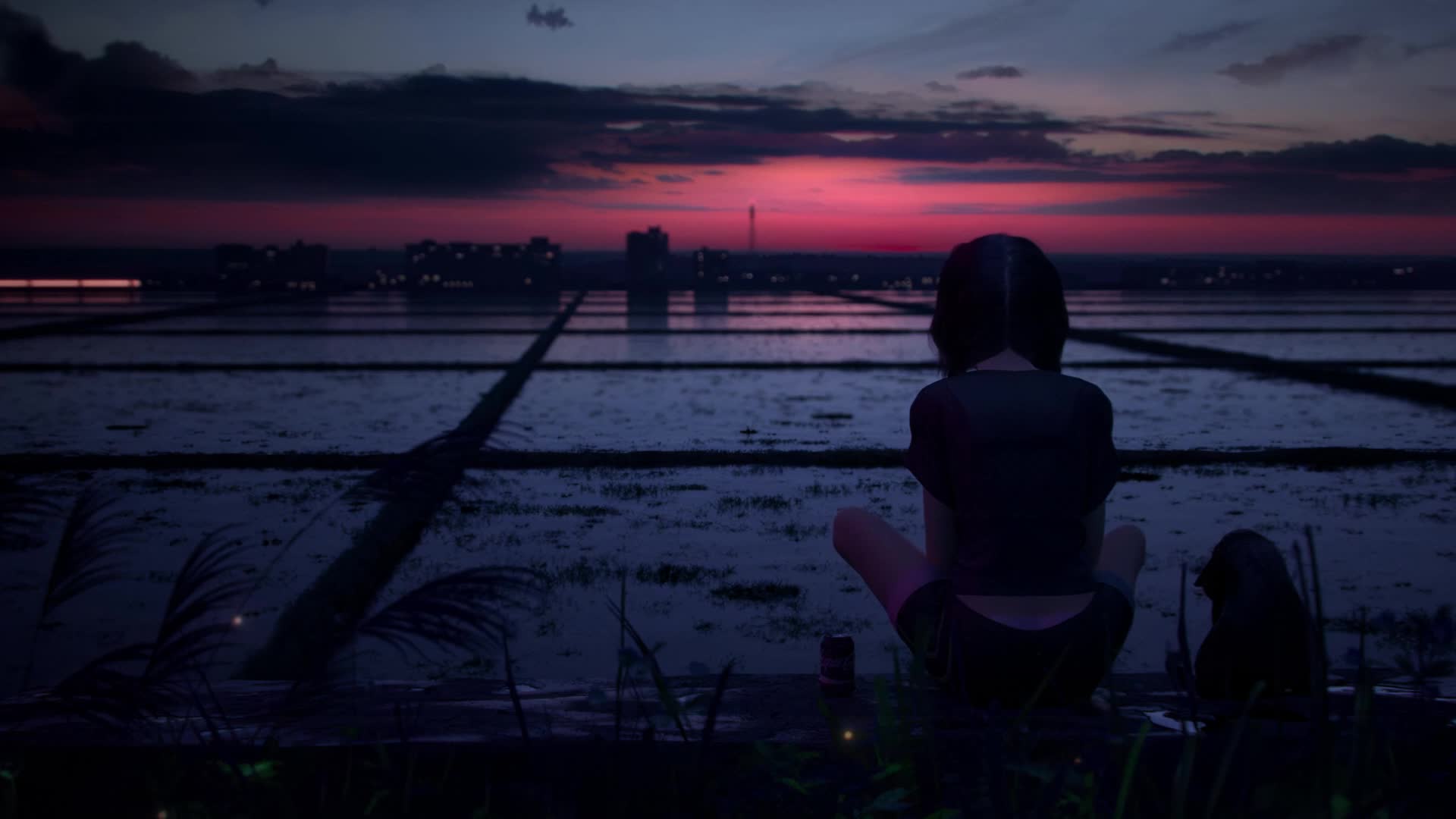 PC Watching the Train Go By Live Wallpaper Free