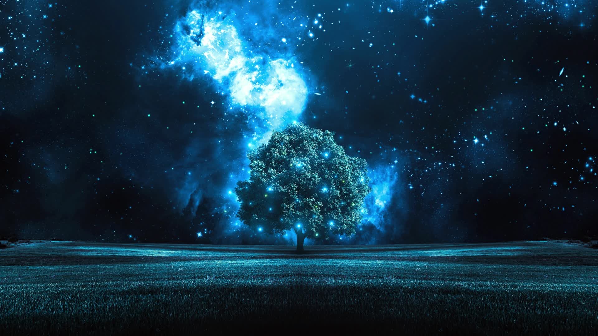 PC Night Stars Tree Live Wallpaper Free