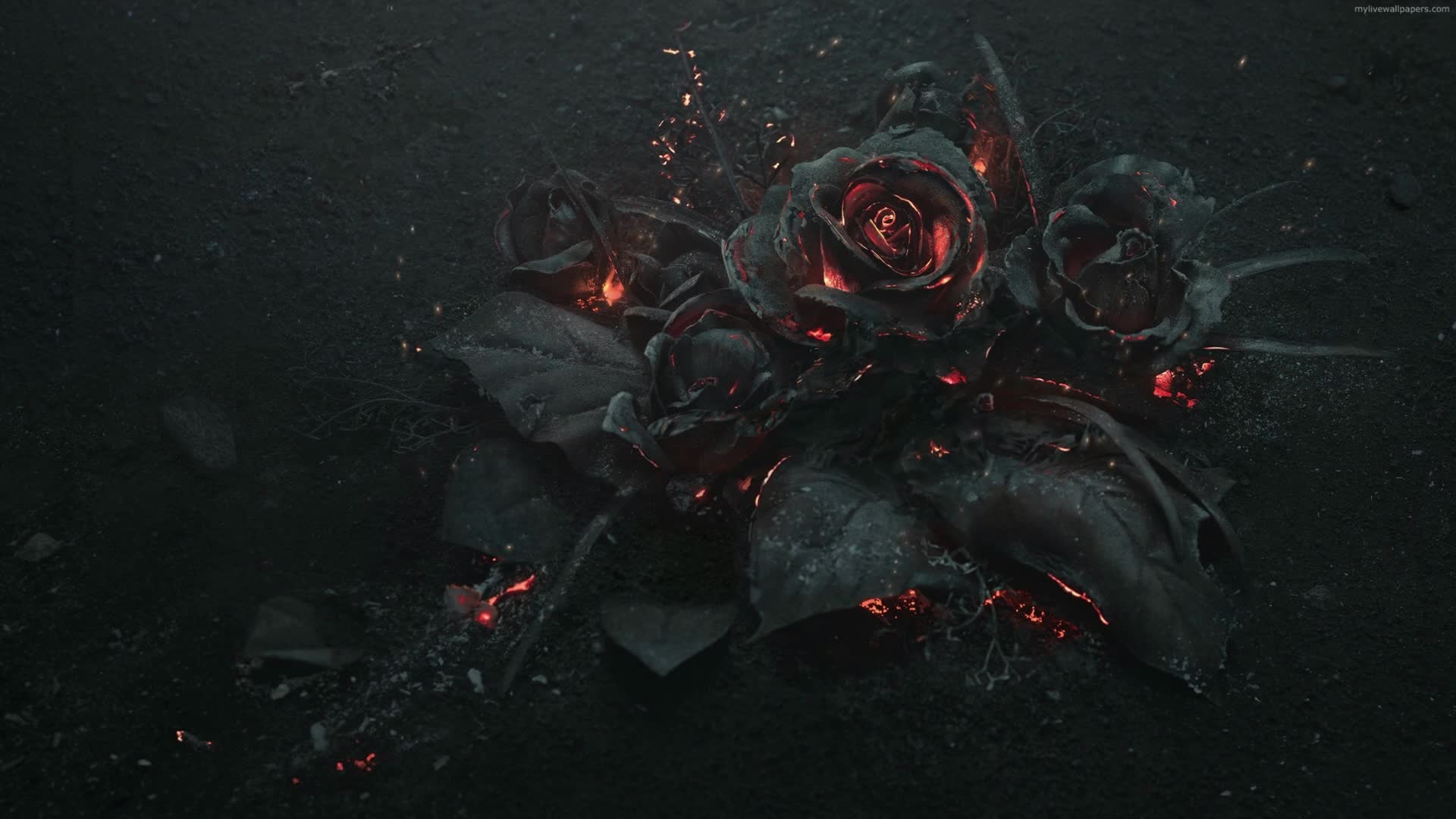 PC Love You Forever Live Wallpaper Free live wallpaper