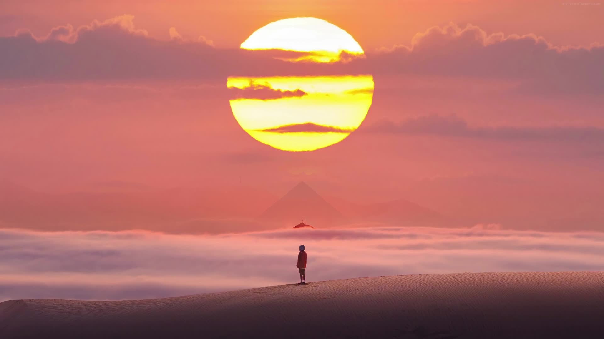 PC Alone Under The Desert Sun Live Wallpaper Free