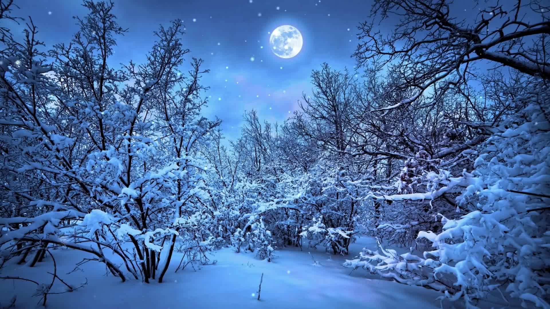 PC Snow Moon Live Wallpaper Free