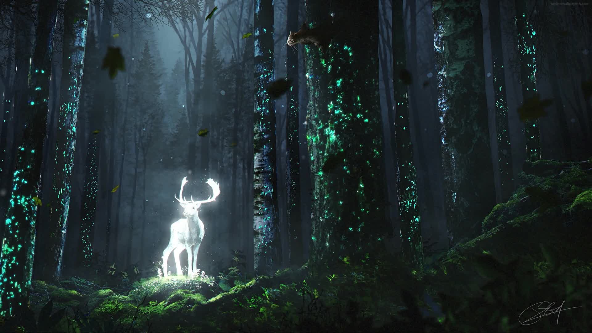 PC  Fantasy Wild Deer Live Wallpaper Free