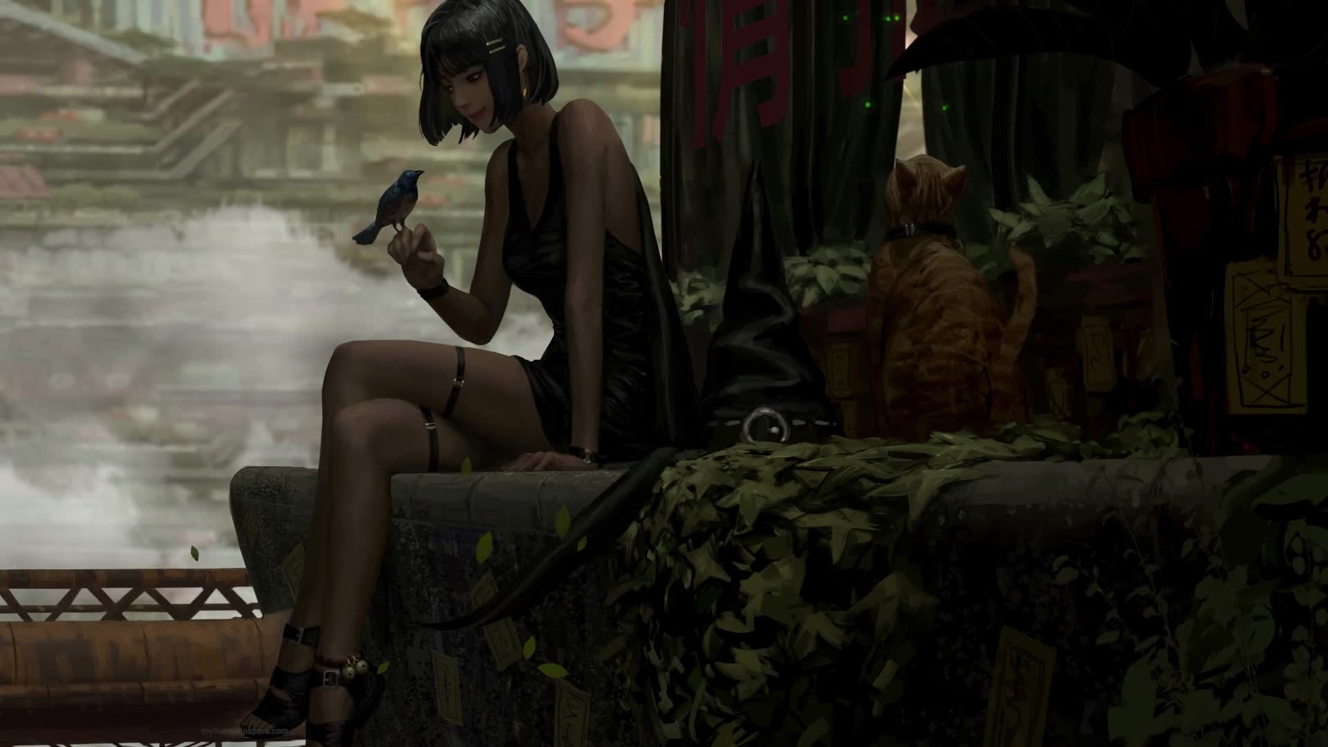 PC Pet Bird Live Wallpaper Free