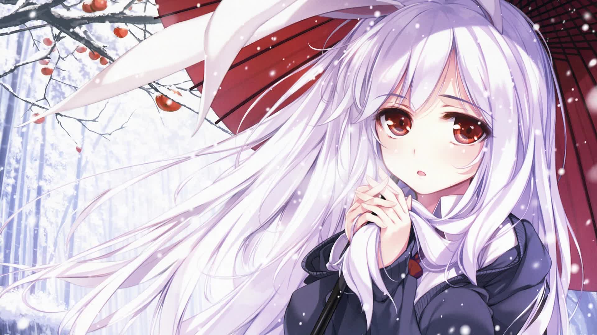 PC Bunny Girl Project Touhou Live Wallpaper Free