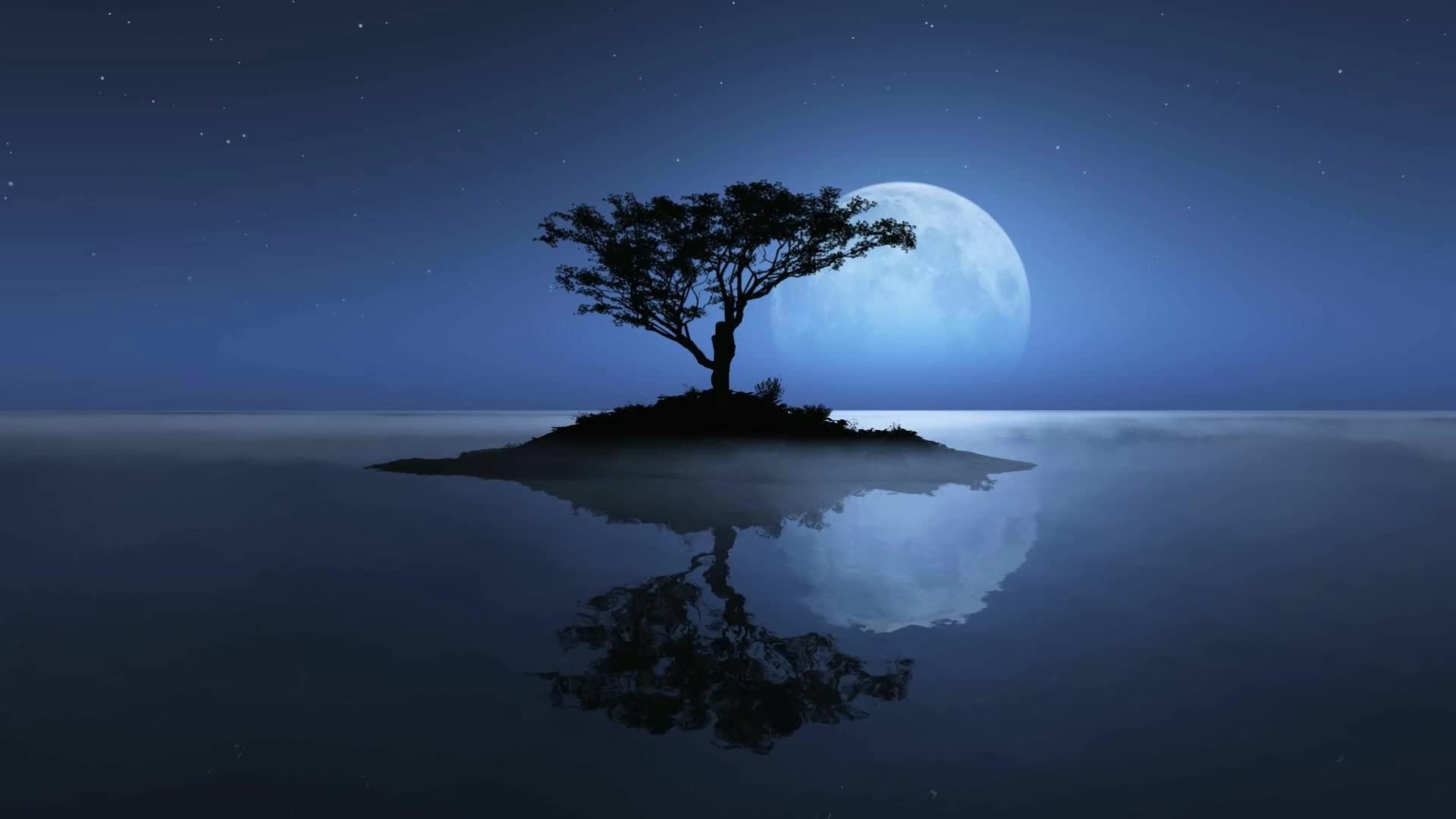 PC Tree Reflection Live Wallpaper Free