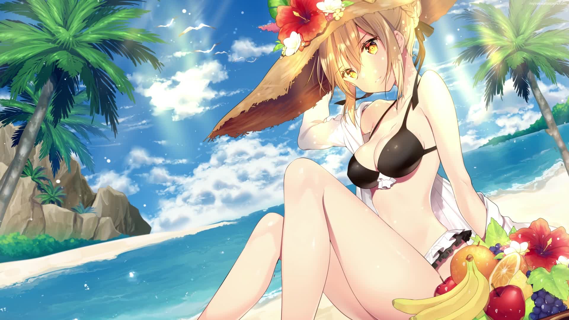 PC Summer Saber FGO Live Wallpaper Free