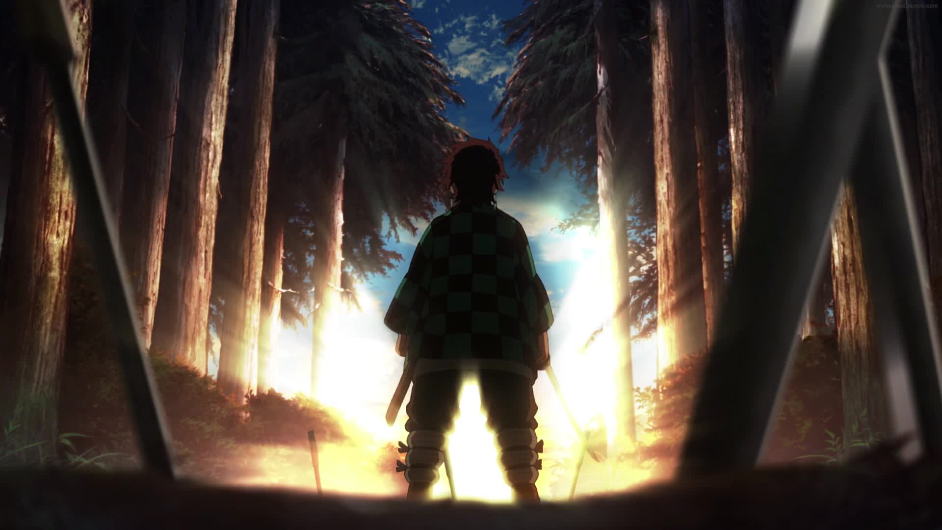 PC Tanjiro Forest Demon Slayer Live Wallpaper Free