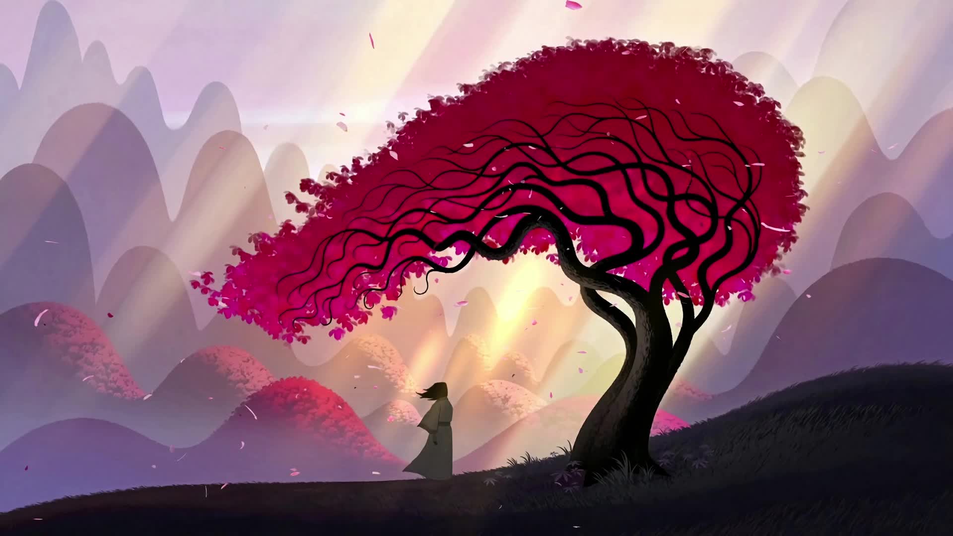 PC Samurai Jack Live Wallpaper Free