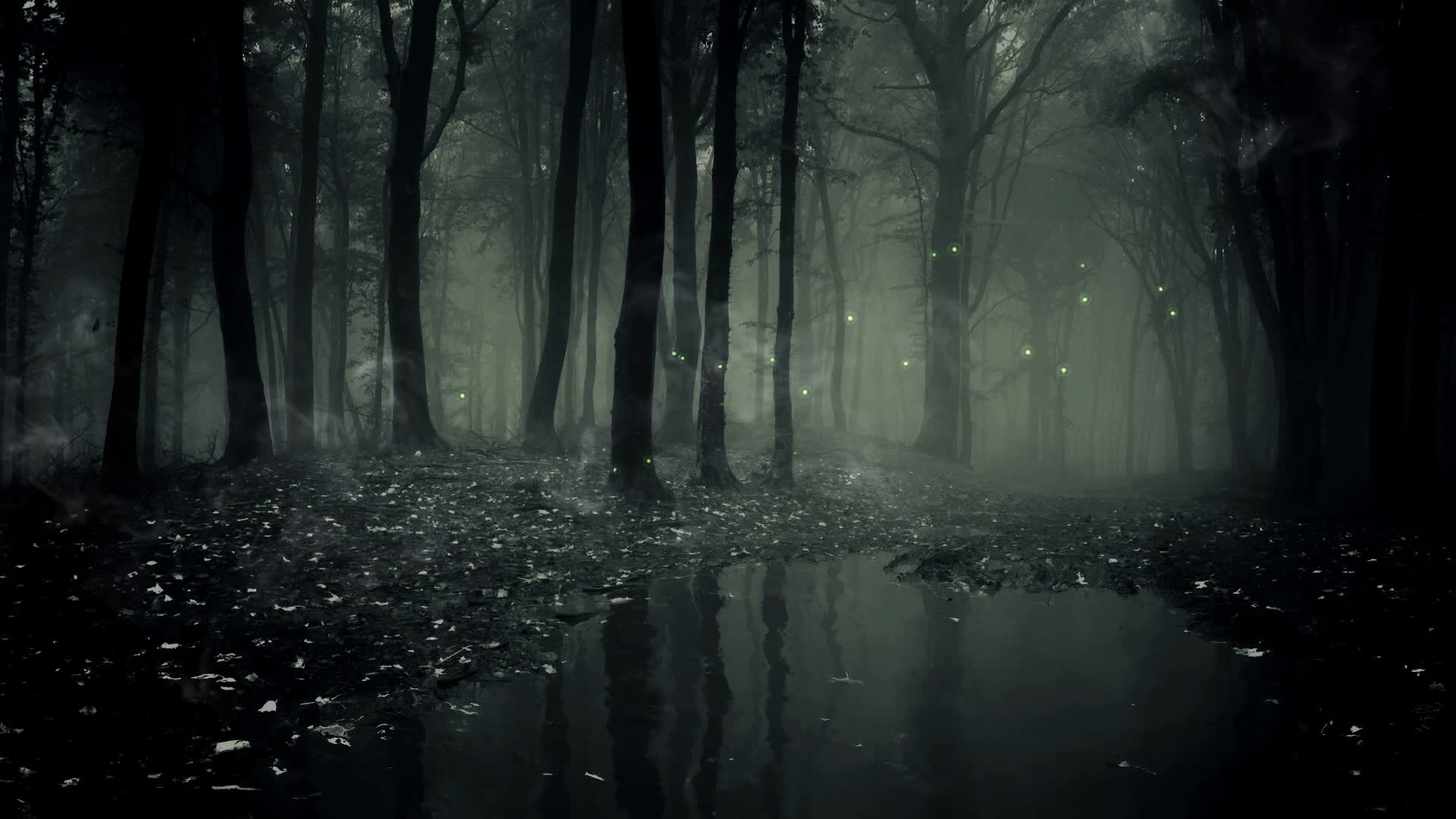 PC Fog Dark Forest Live Wallpaper Free