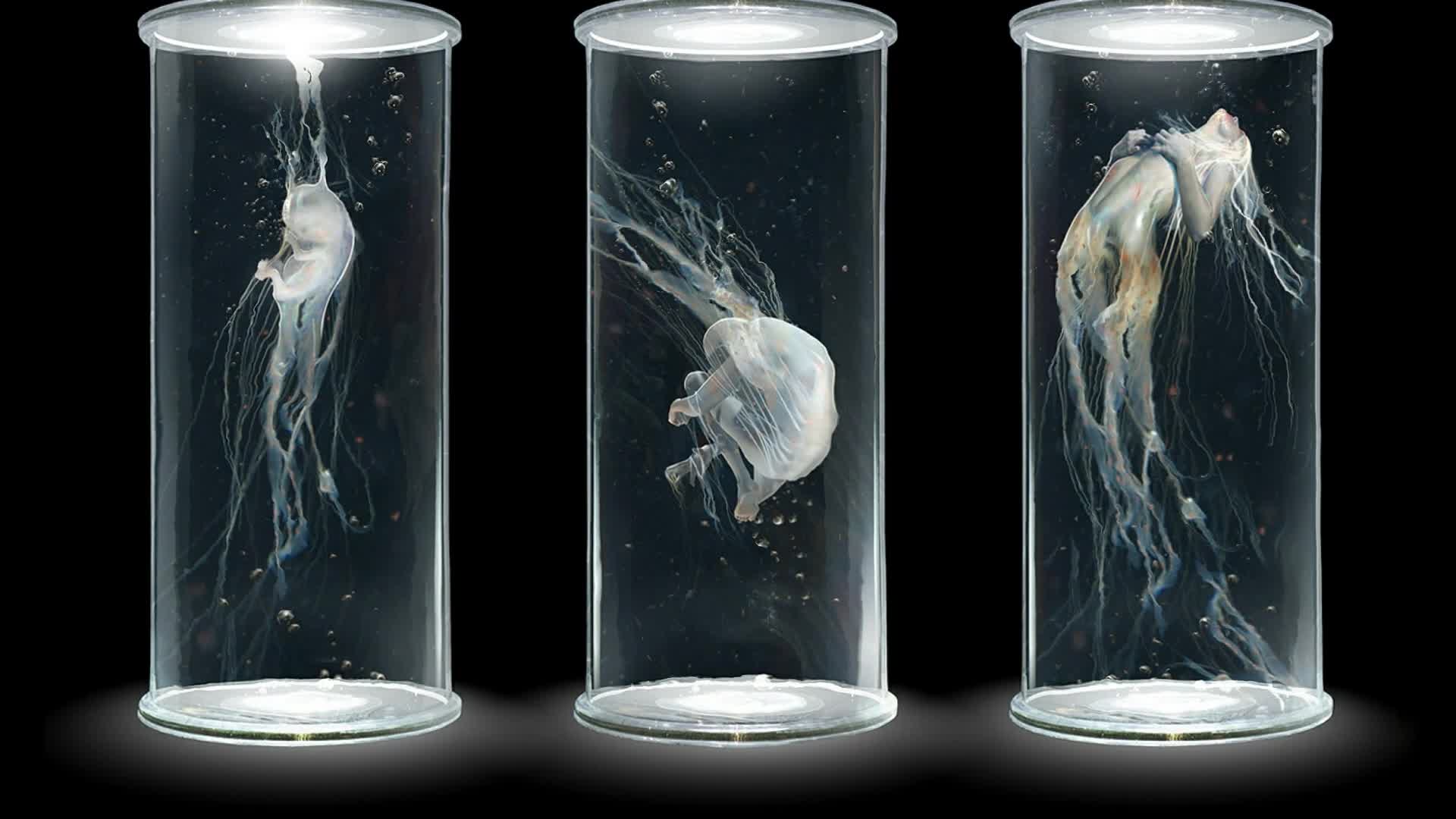 PC Glass Capsules Live Wallpaper Free
