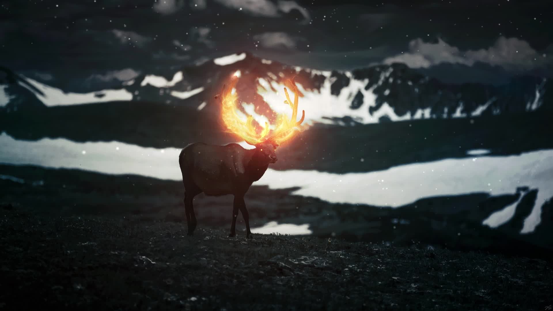 PC Magical Deer Live Wallpaper Free