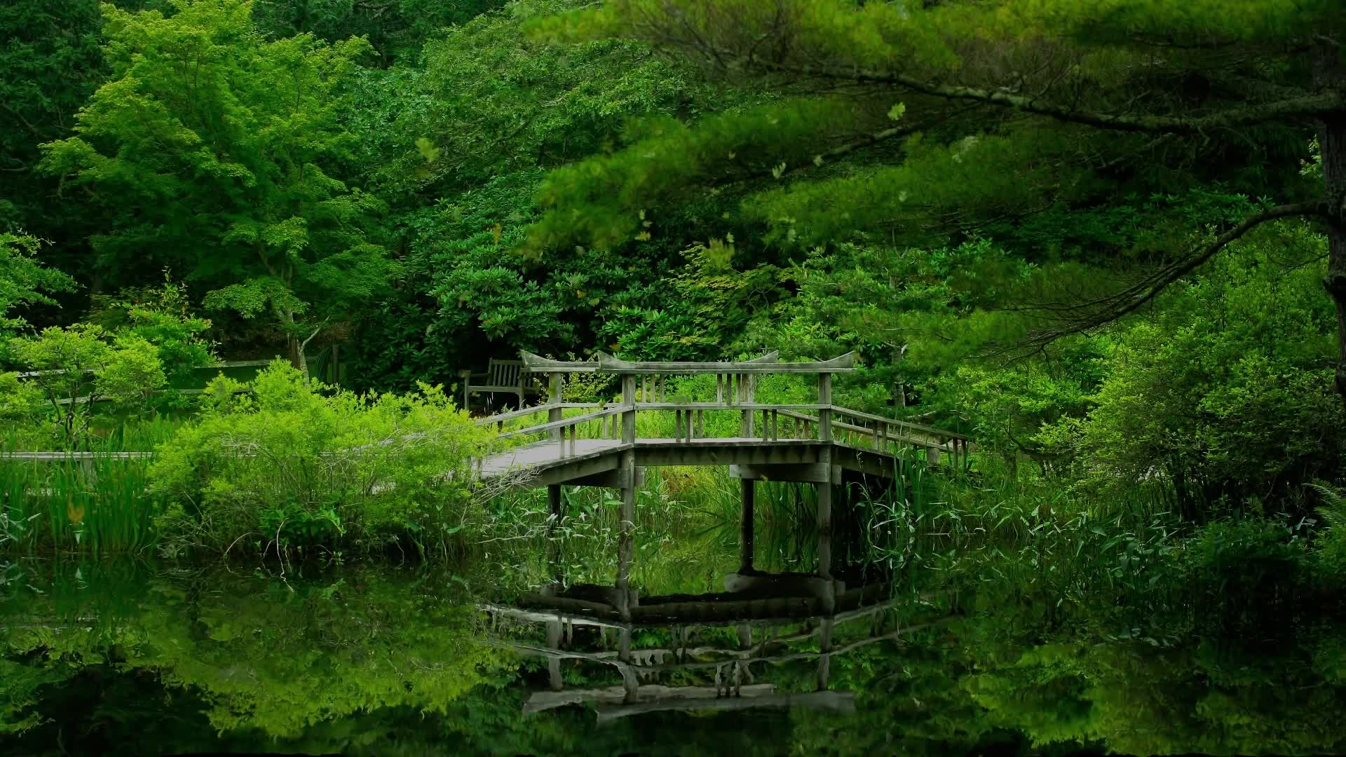 PC Bridge On Lake Live Wallpaper Free