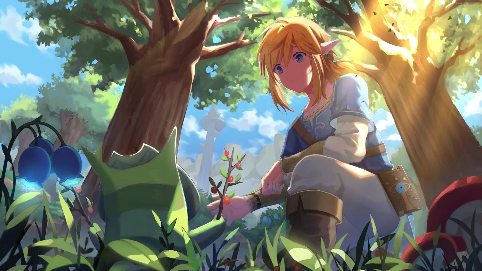 PC Link in a Forest Live Wallpaper Free live wallpaper