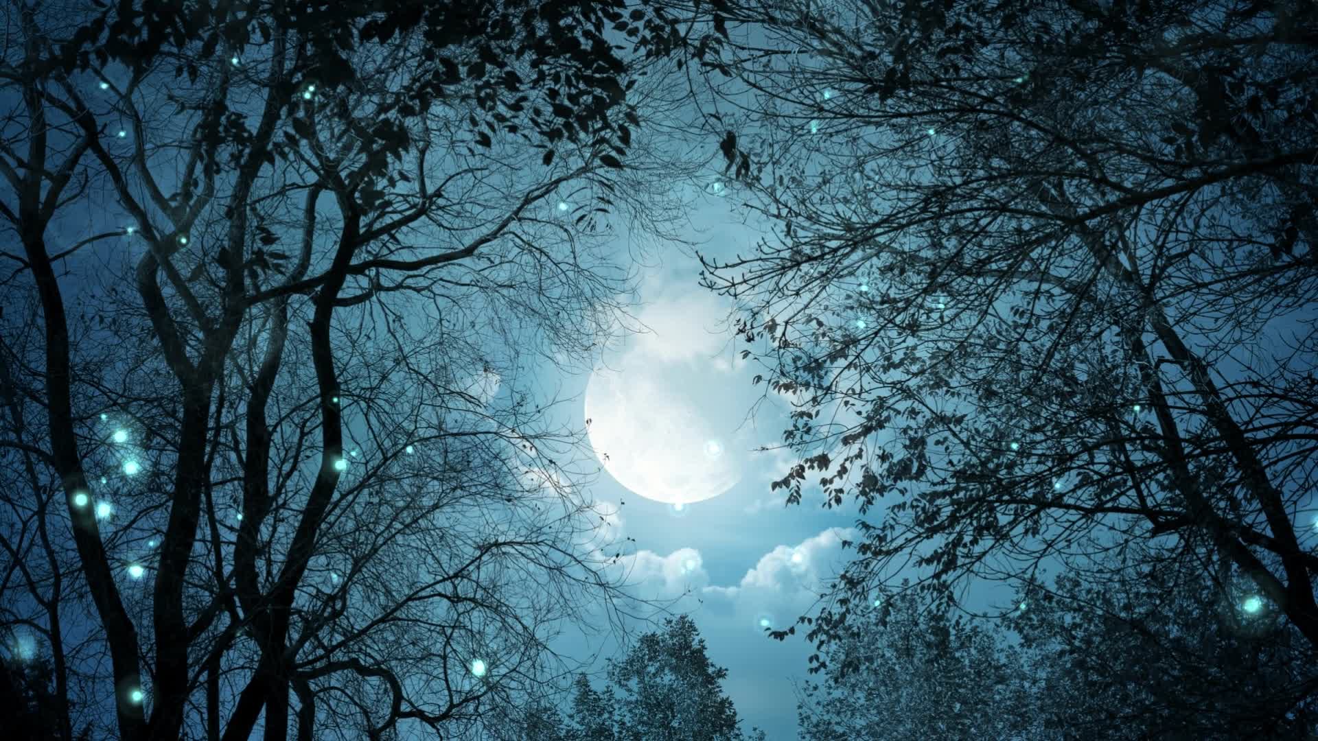 PC Night Moon Live Wallpaper Free