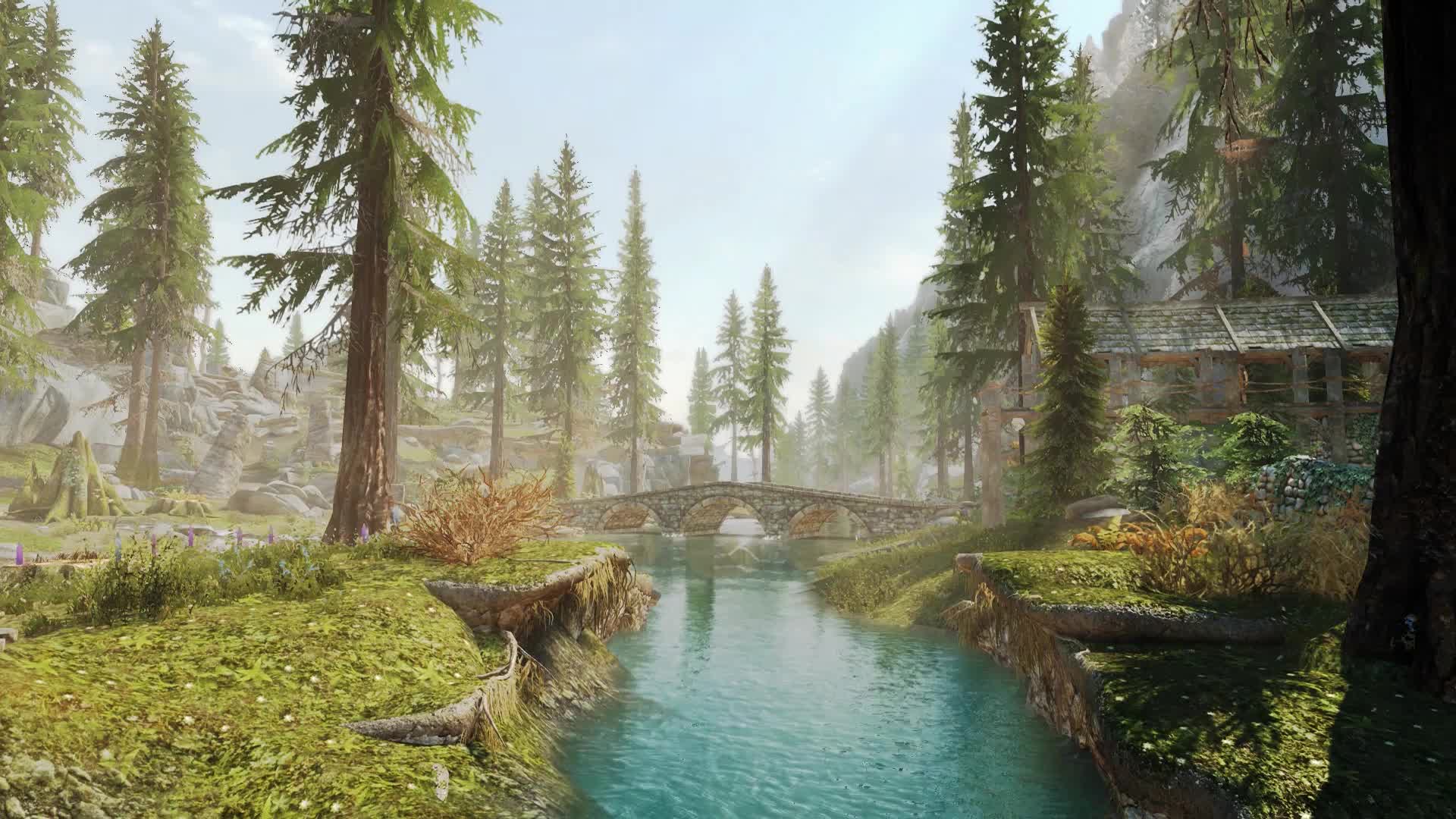 PC Stream Nature Live Wallpaper Free