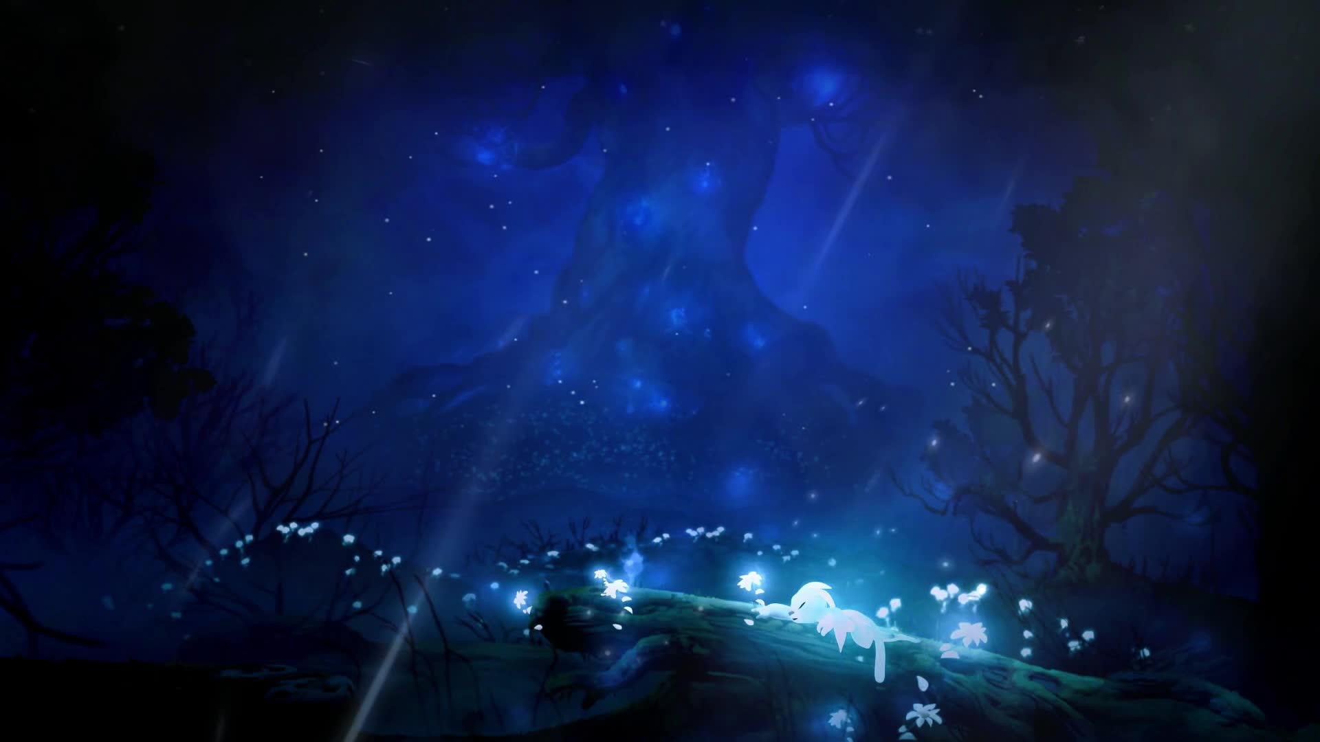 PC Sleeping Ori Live Wallpaper Free