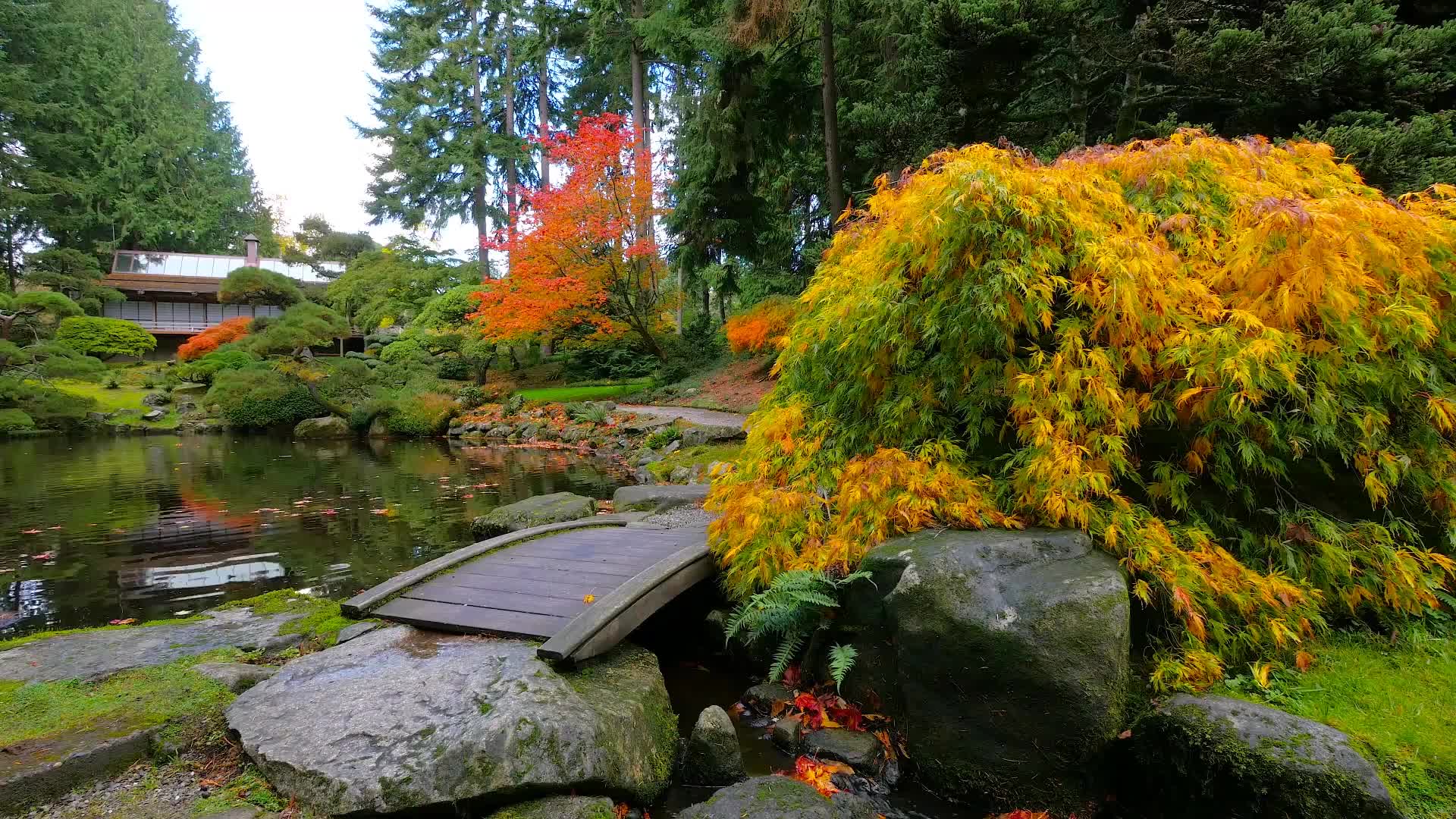 PC Japanese Garden Live Wallpaper Free