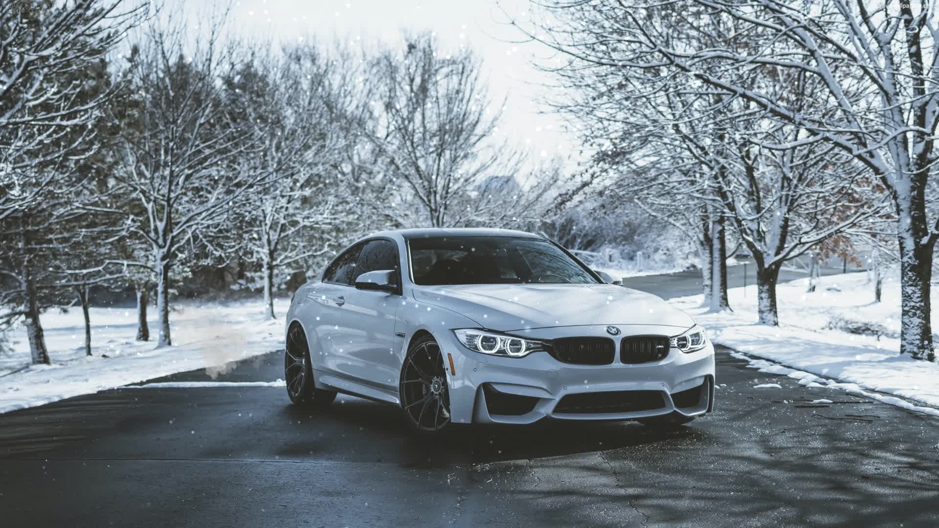 PC BMW Winter Live Wallpaper Free