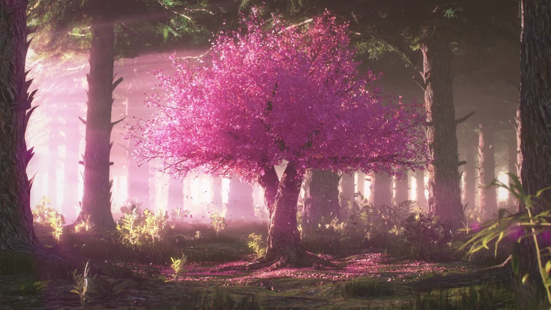 PC Pink Tree Live Wallpaper Free