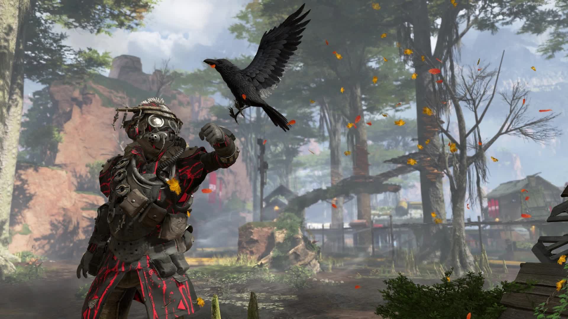 PC Bloodhound Apex Legends Live Wallpaper Free
