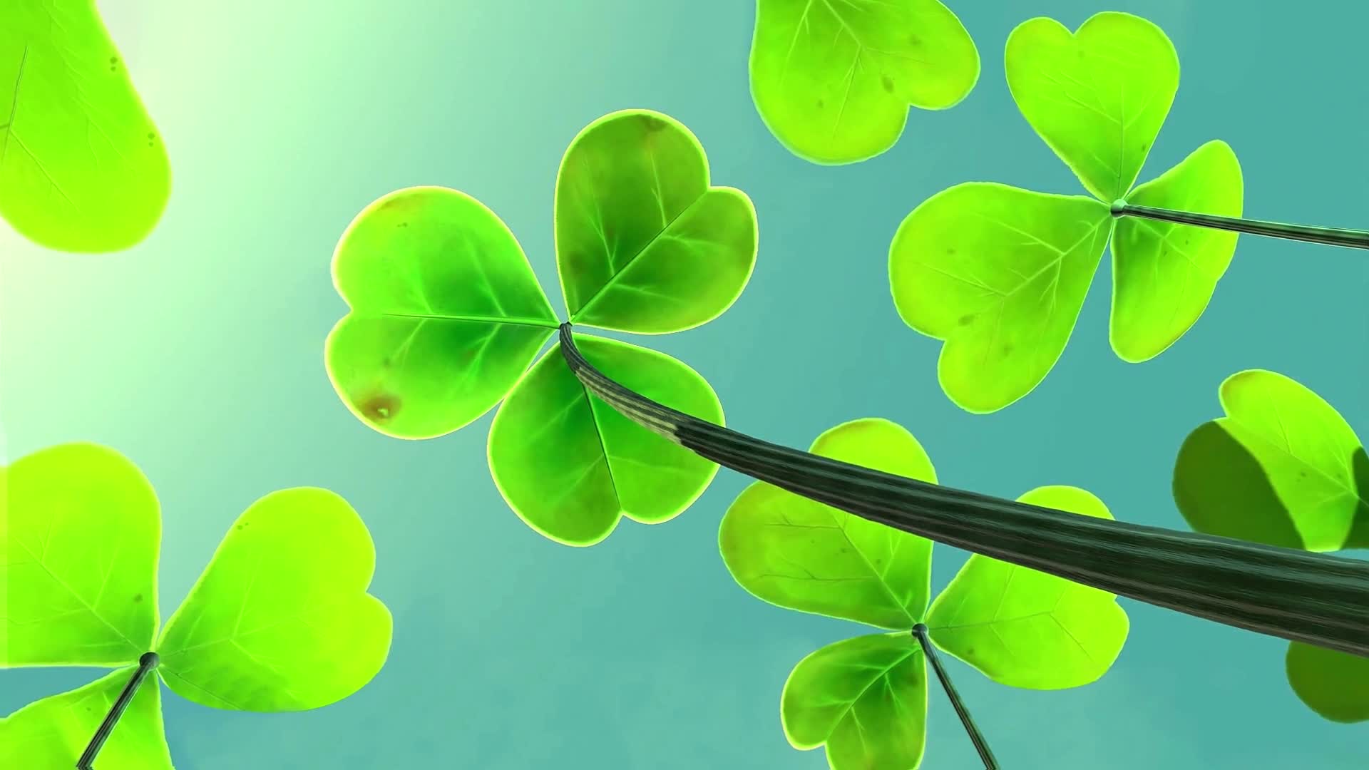 PC Shamrock Live Wallpaper Free