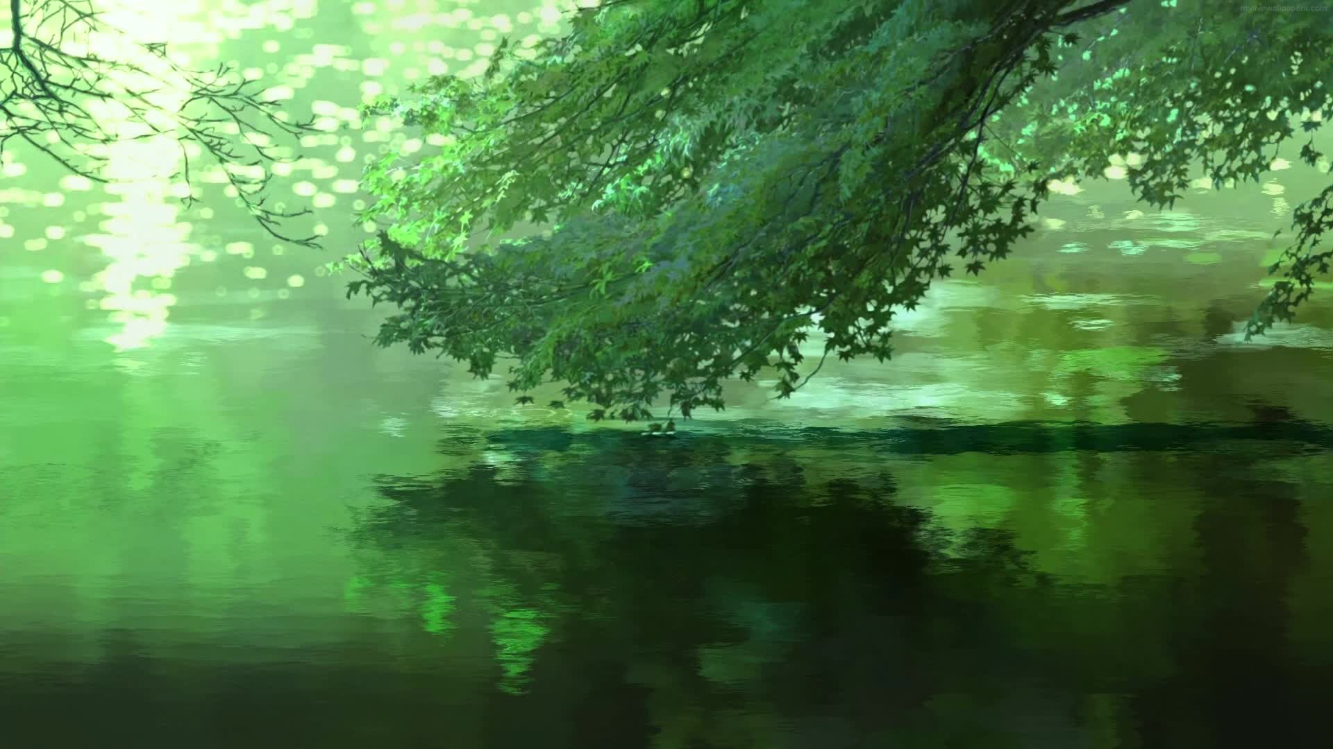 PC Pond Silent Summer Live Wallpaper Free