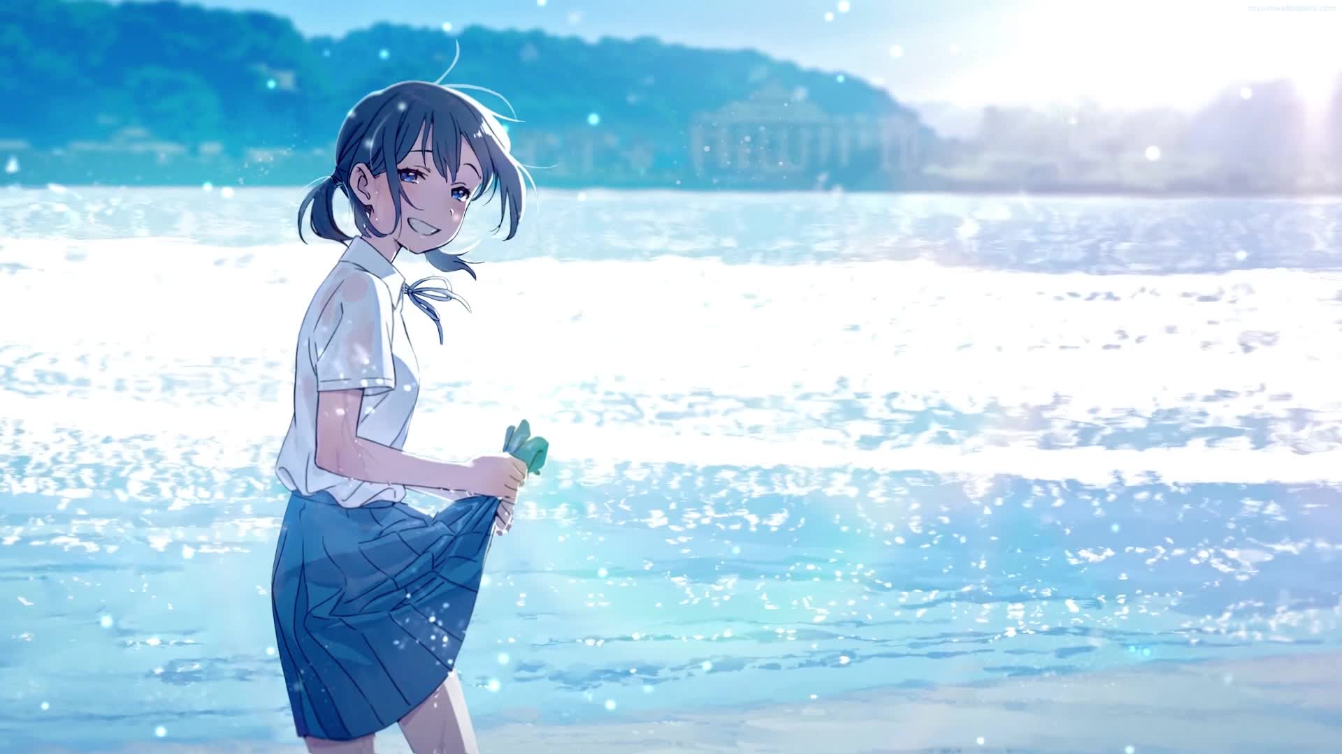 PC Beach School Trip Live Wallpaper Free