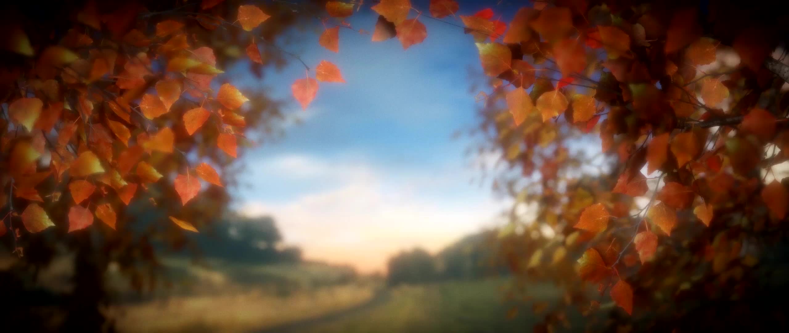 PC Falling Leaves Live Wallpaper Free