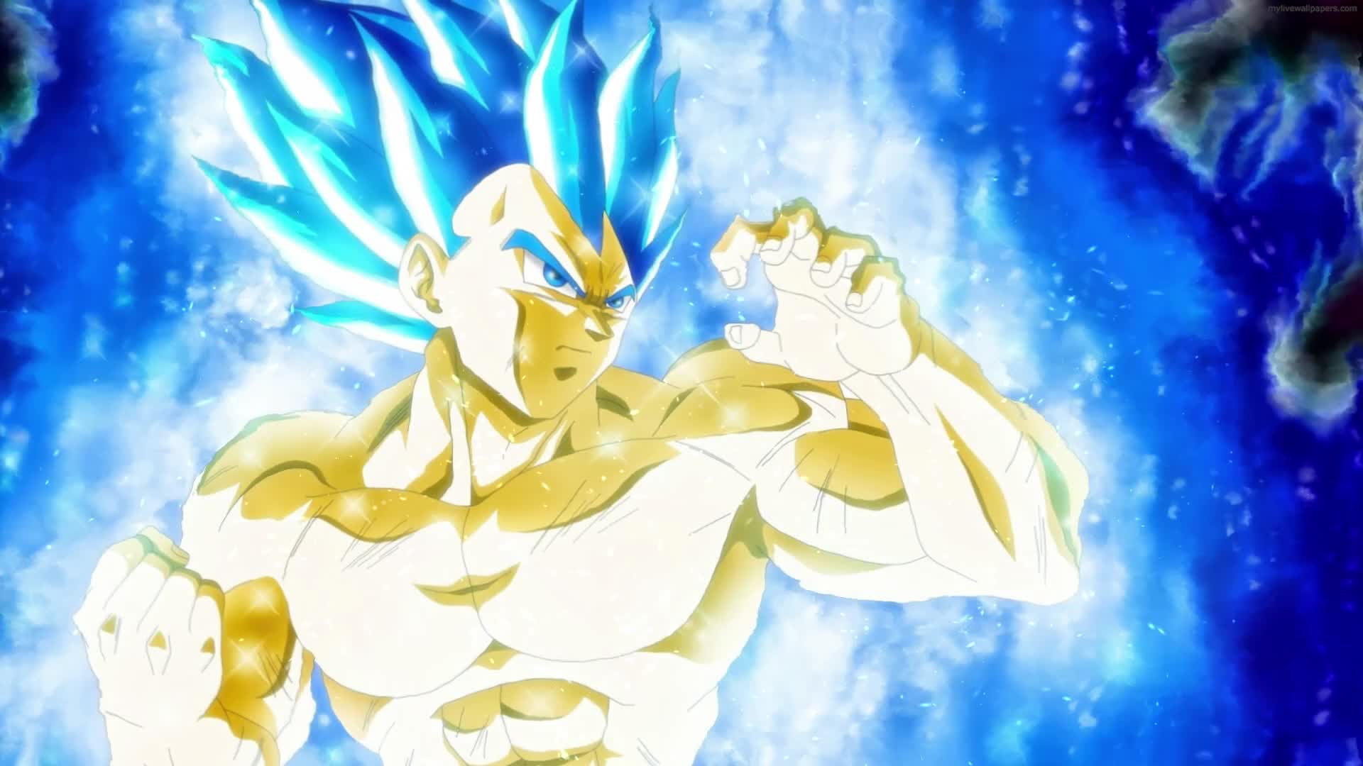 PC Vegeta Super Saiyan Blue Evolution Live Wallpaper Free