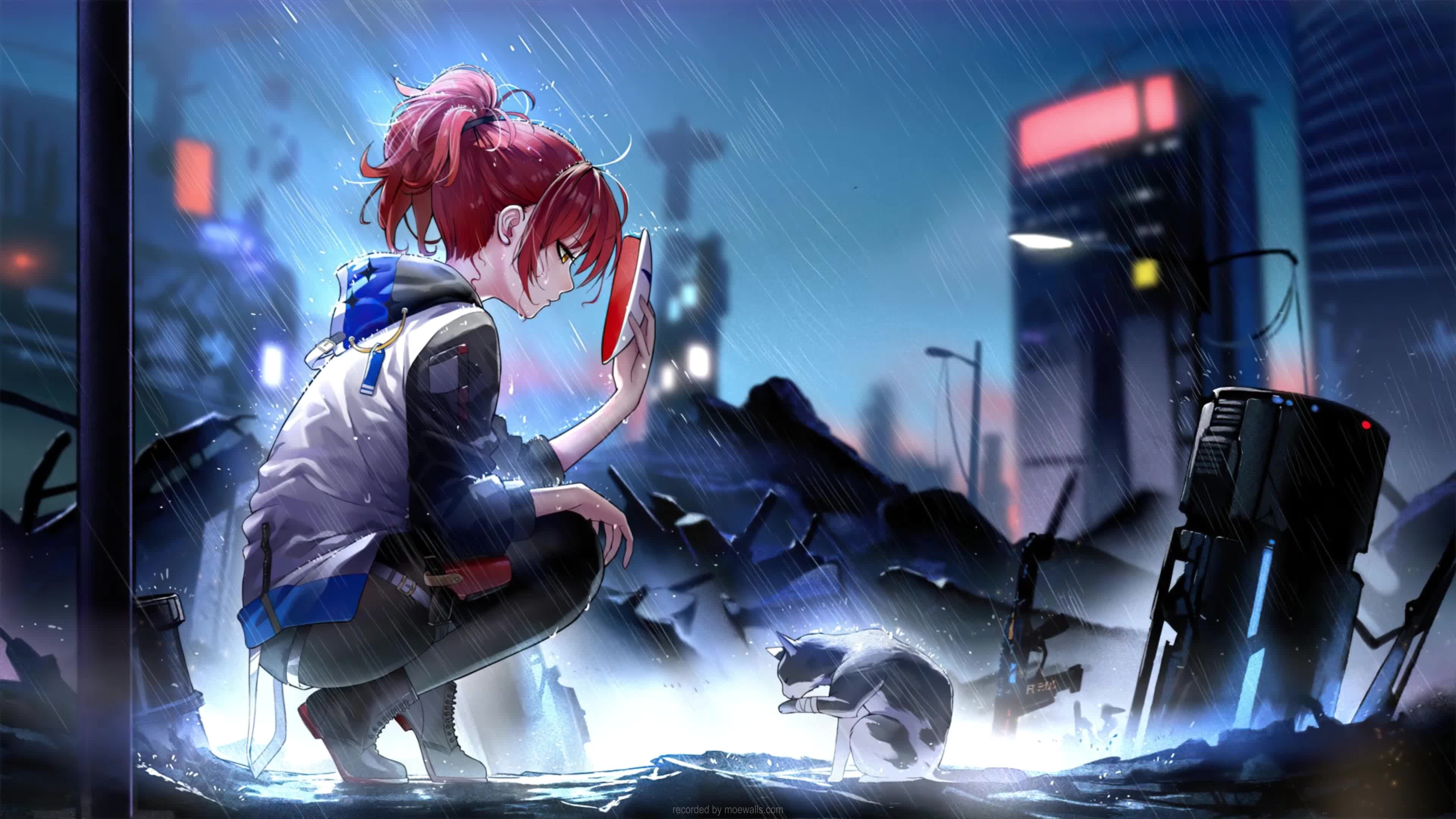4K Exusiai And Cat In The Rain Arknights Live Wallpaper For PC
