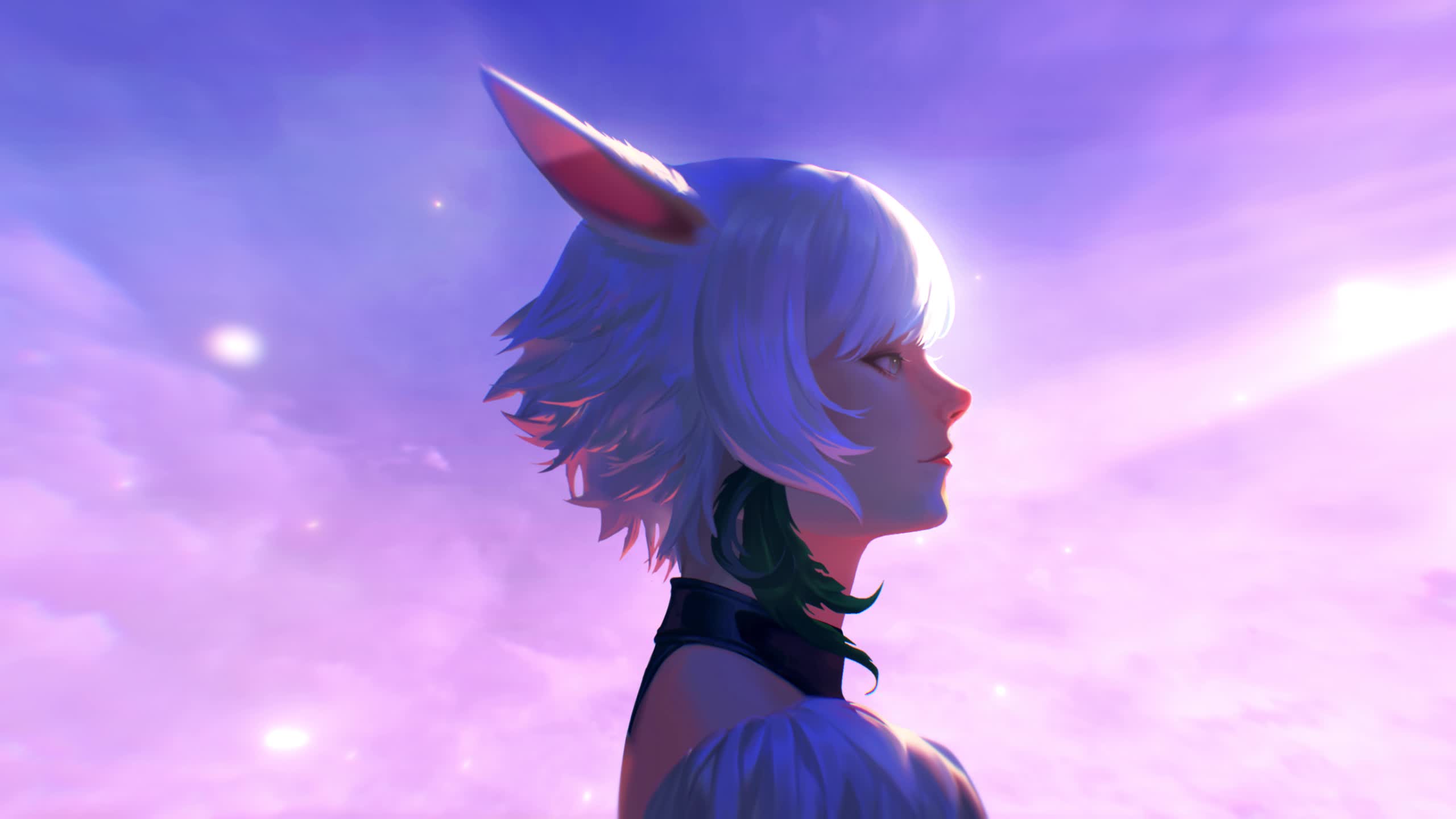 PC Anime The Dawn Live Wallpaper