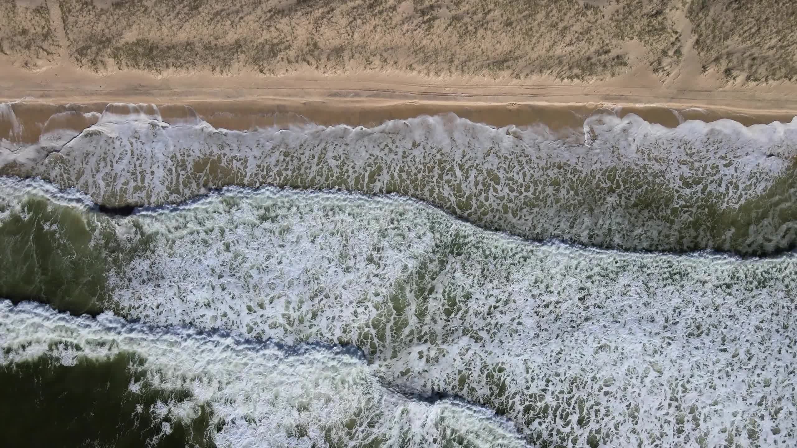 Beach 111263 Free Stock Video