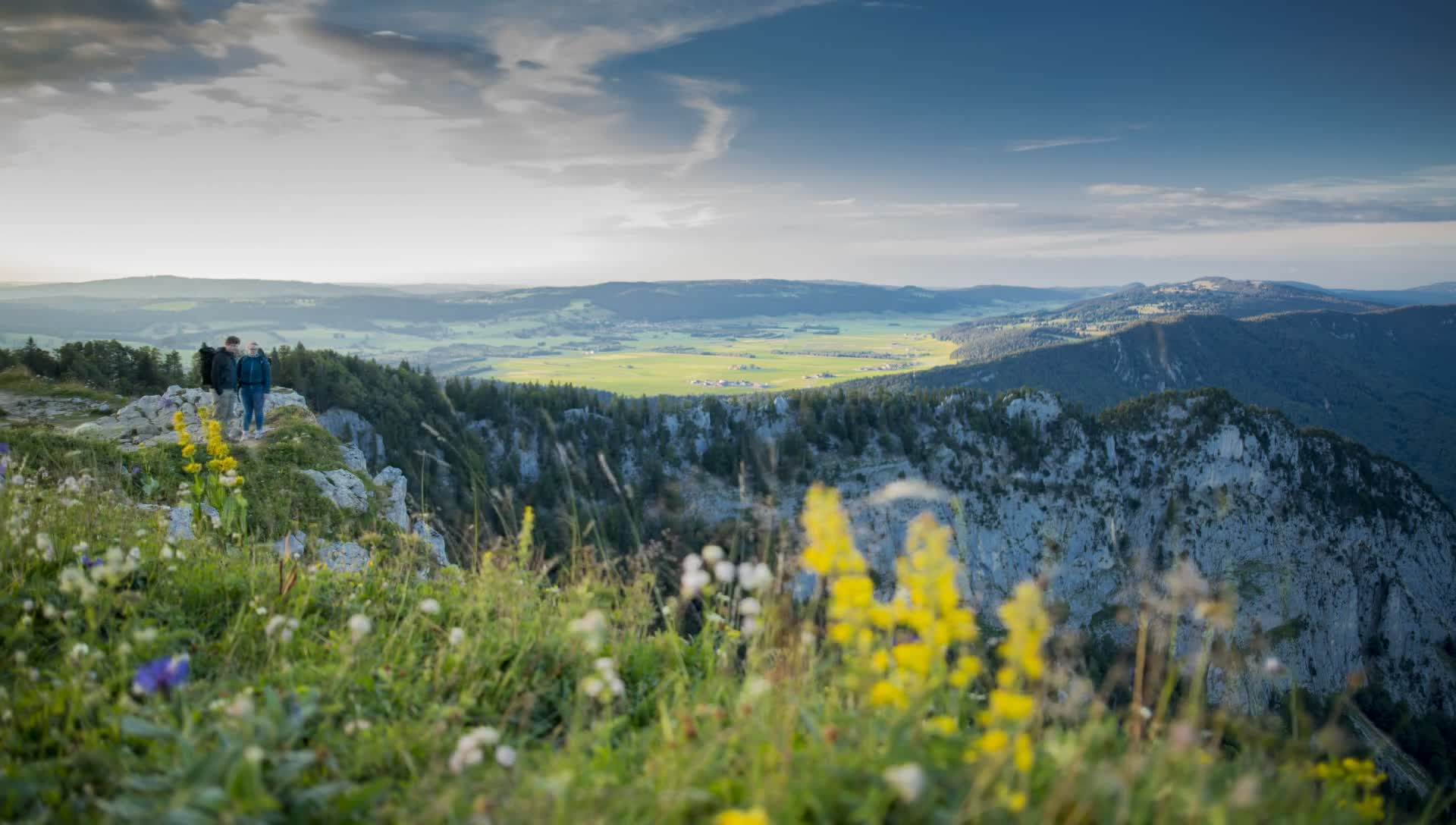 Creuxdevan 45150 Original Free Stock Video