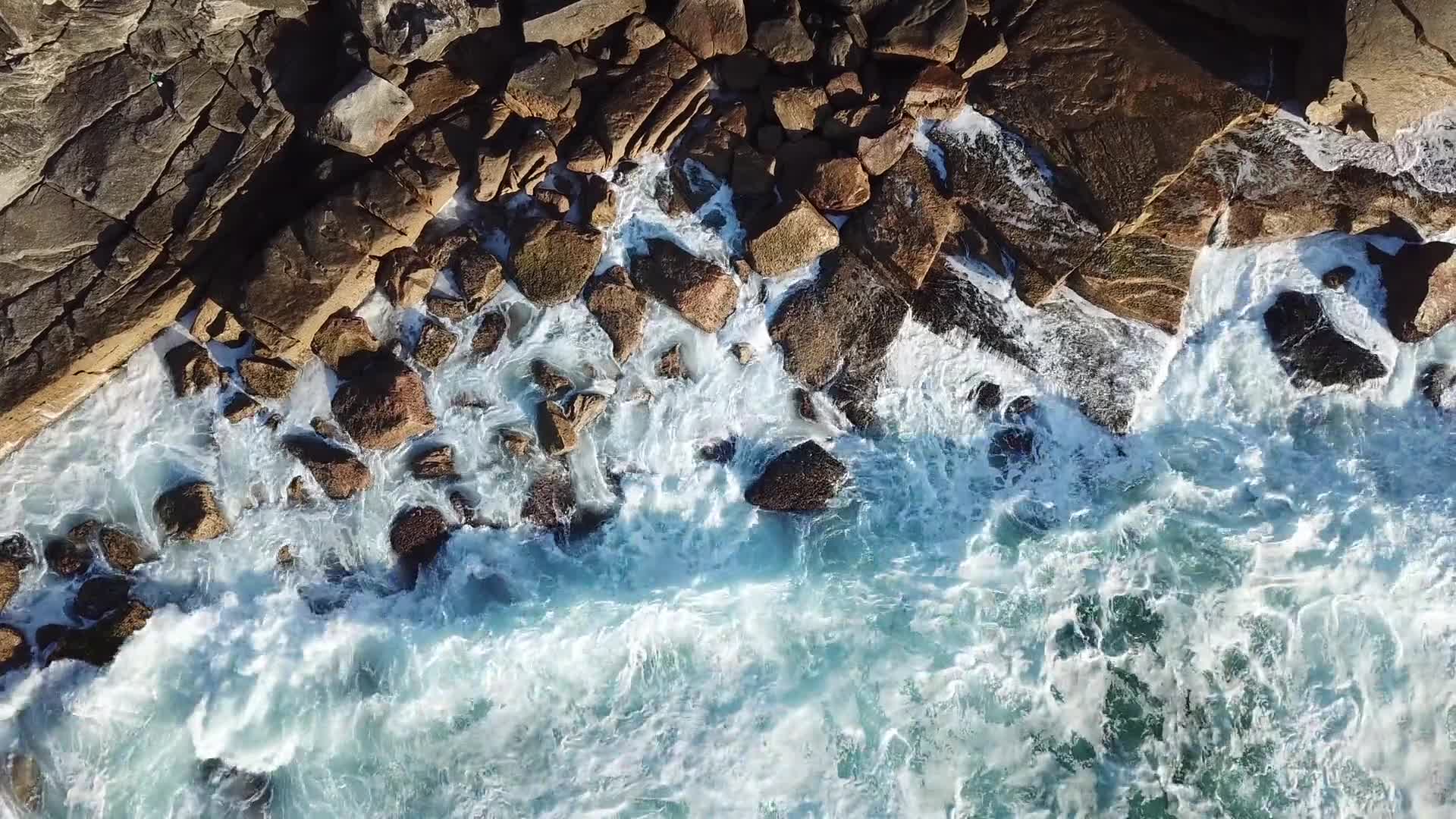 Nature 31377 Free Stock Video