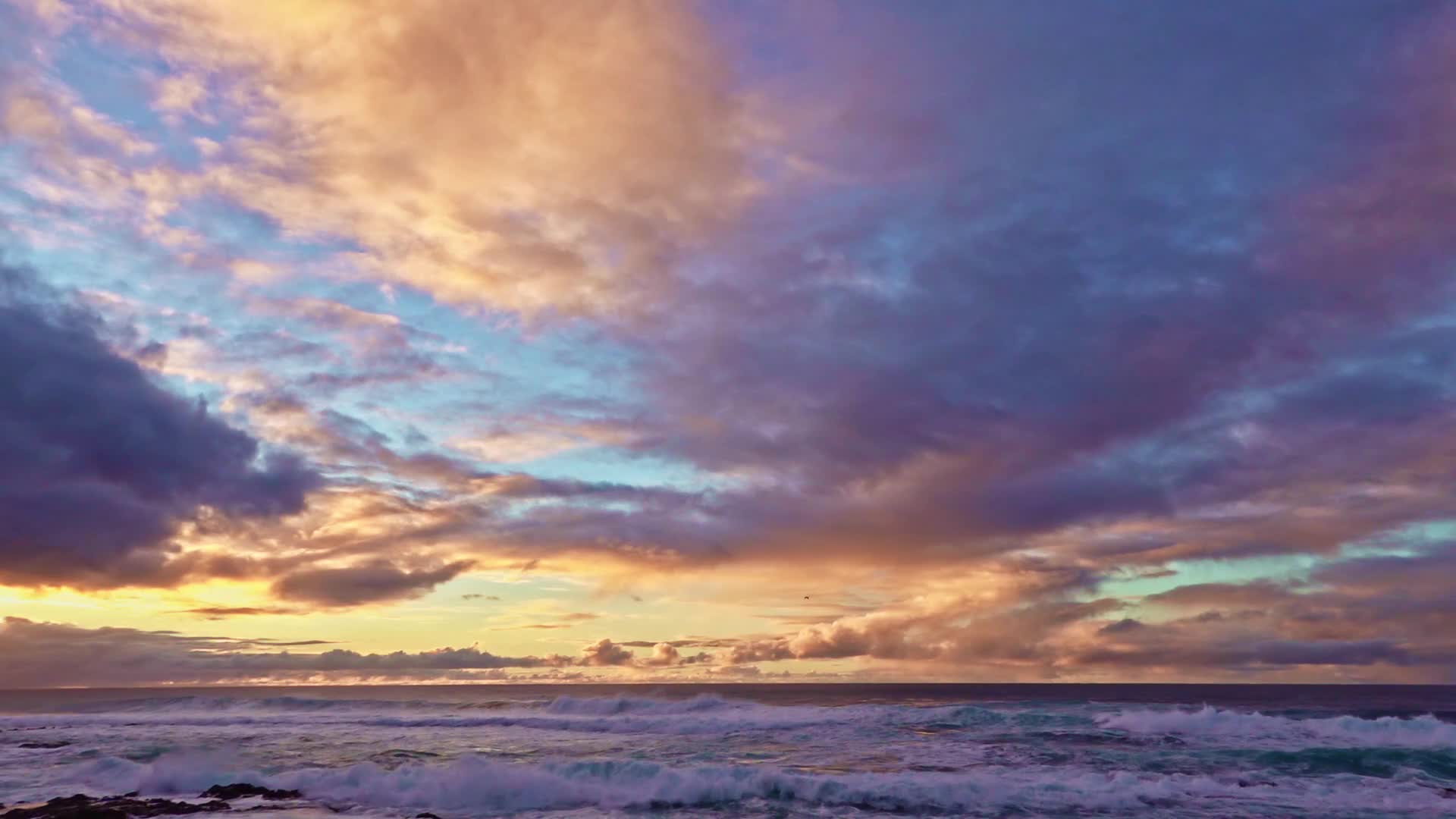 Ocean 62249 Original Free Stock Video