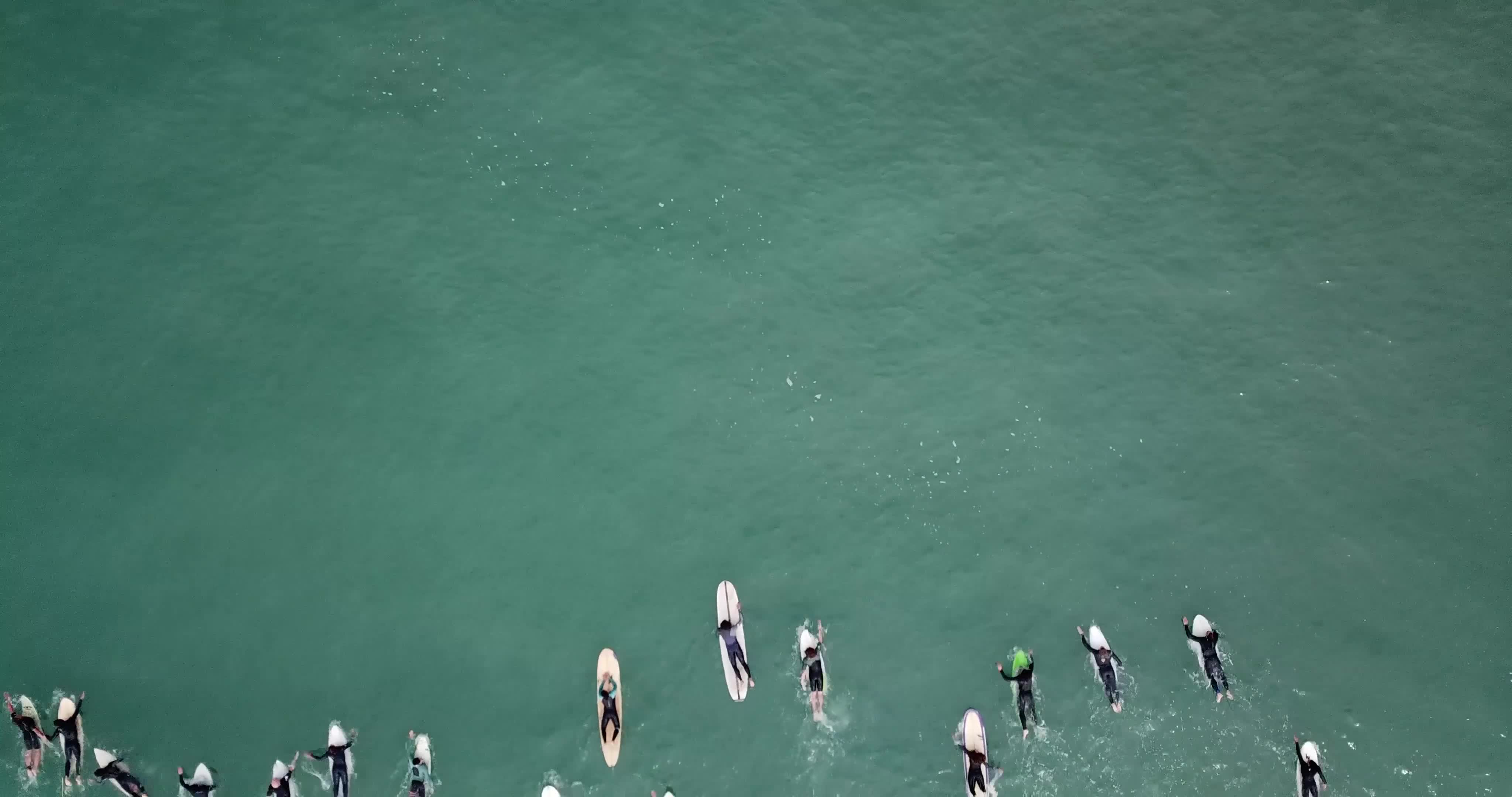 Surf 36609 2160p Free Stock Video