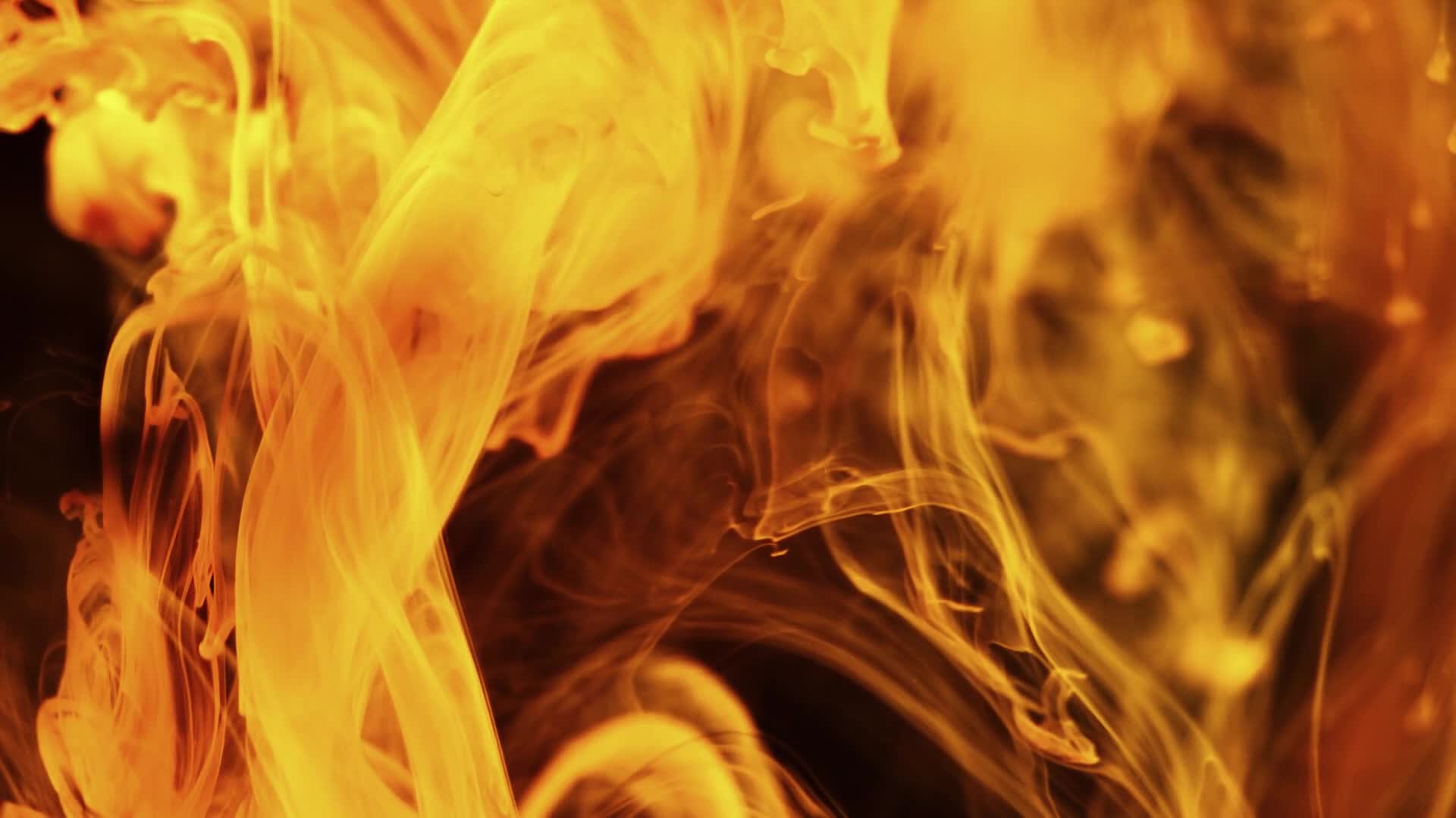 Yellow 27803 Original Free Stock Video