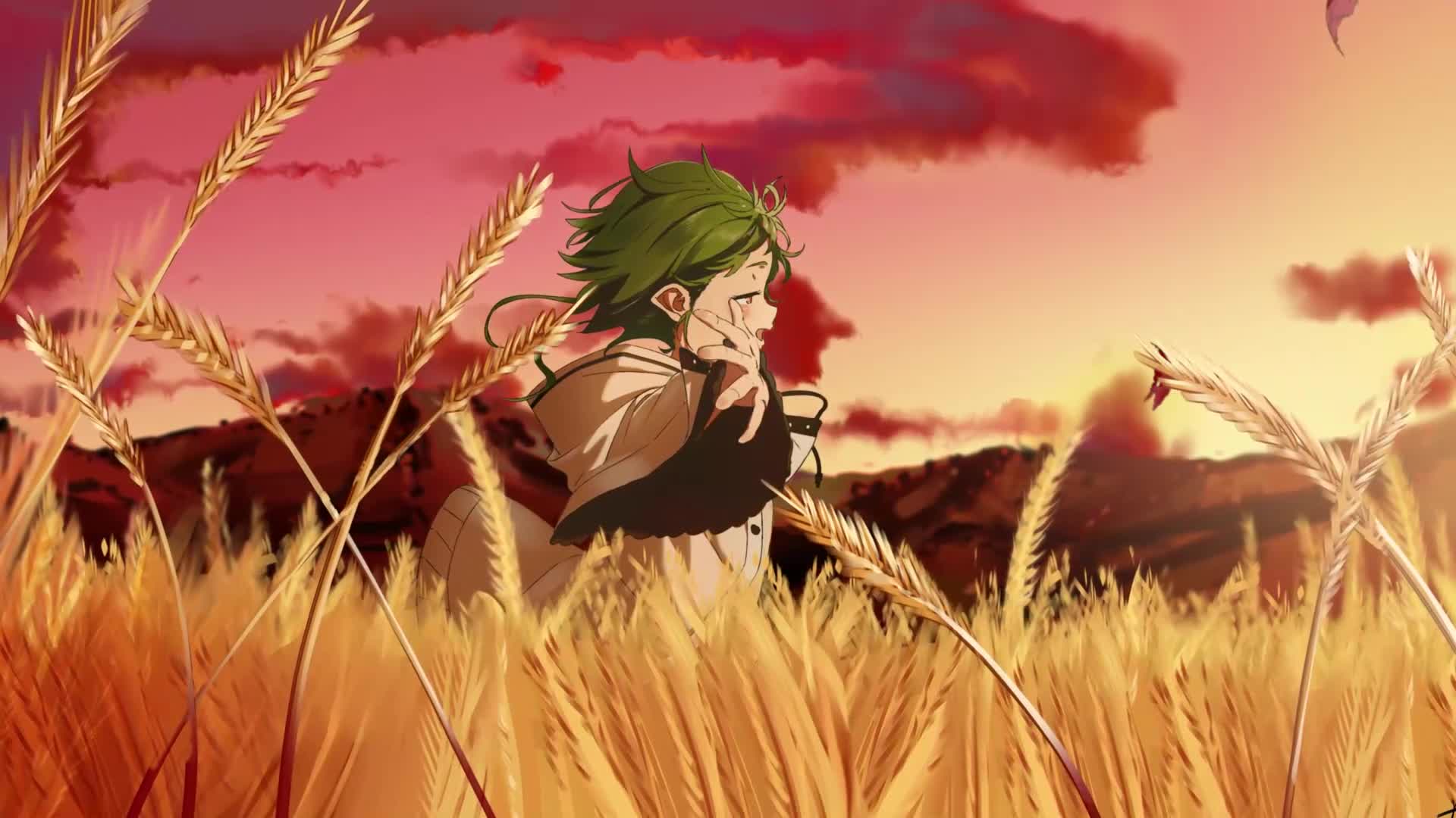 PC Desktop Sunset In The Field Anime Desktop Live Wallpaper