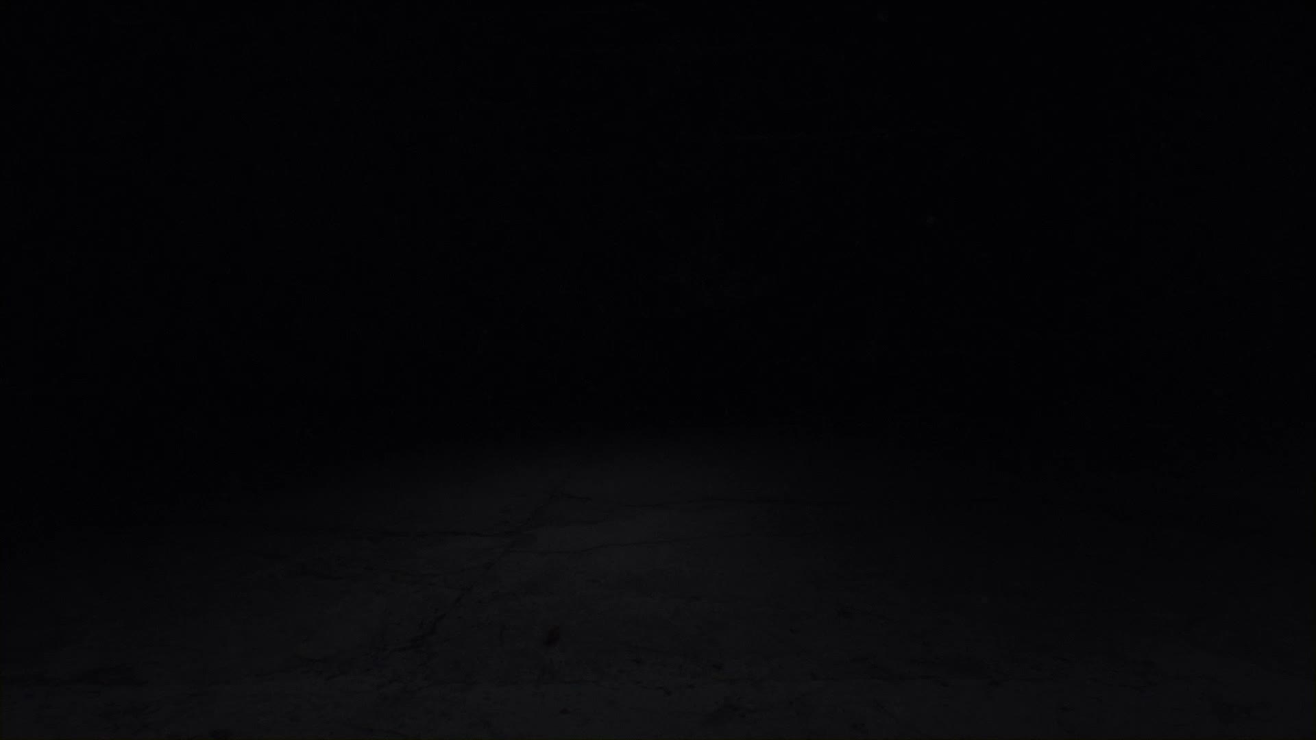 PC Desktop Zblogo1 Live Wallpaper